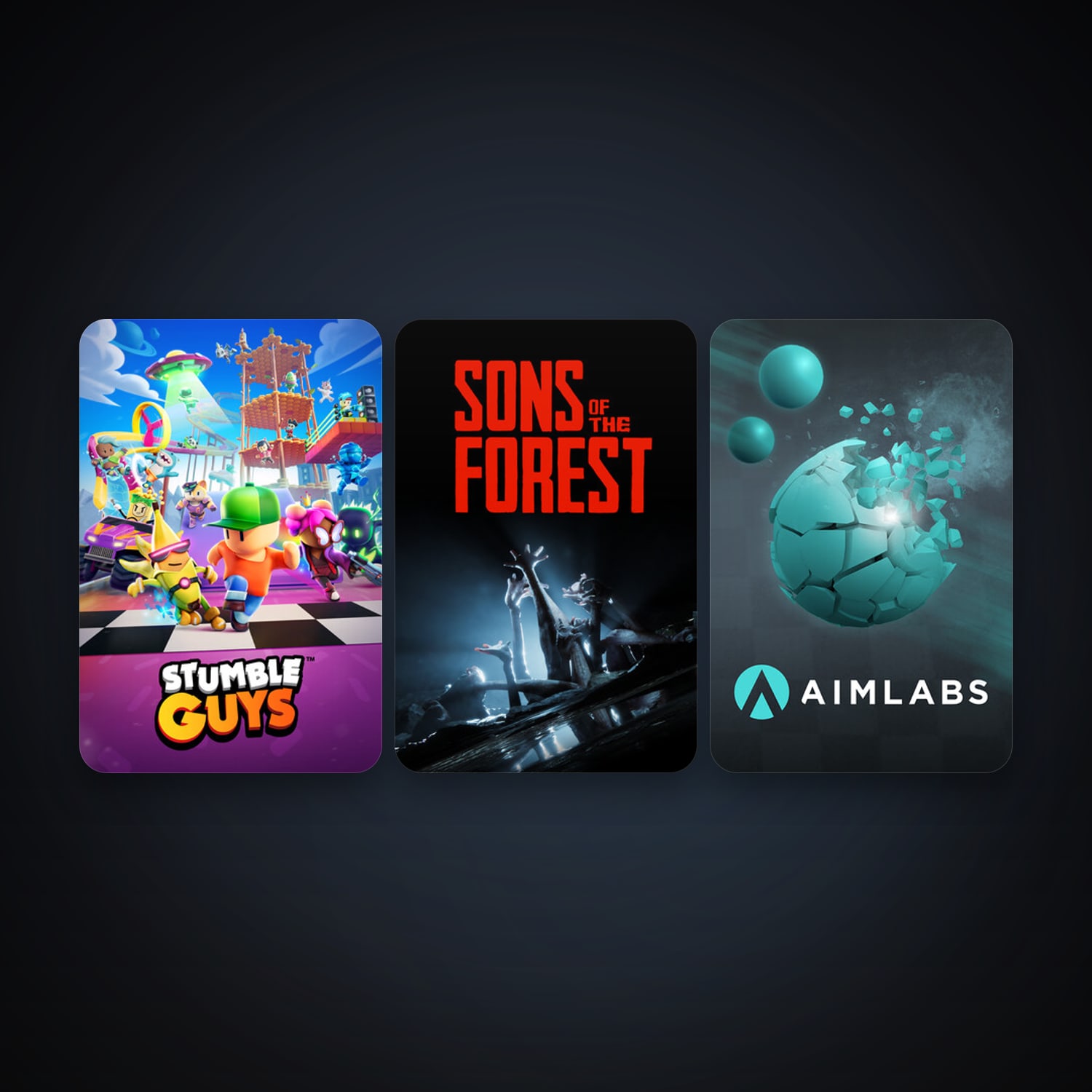 Aimlabs + Sons Of The Forest, 10 games, clean — HabibiAccounts