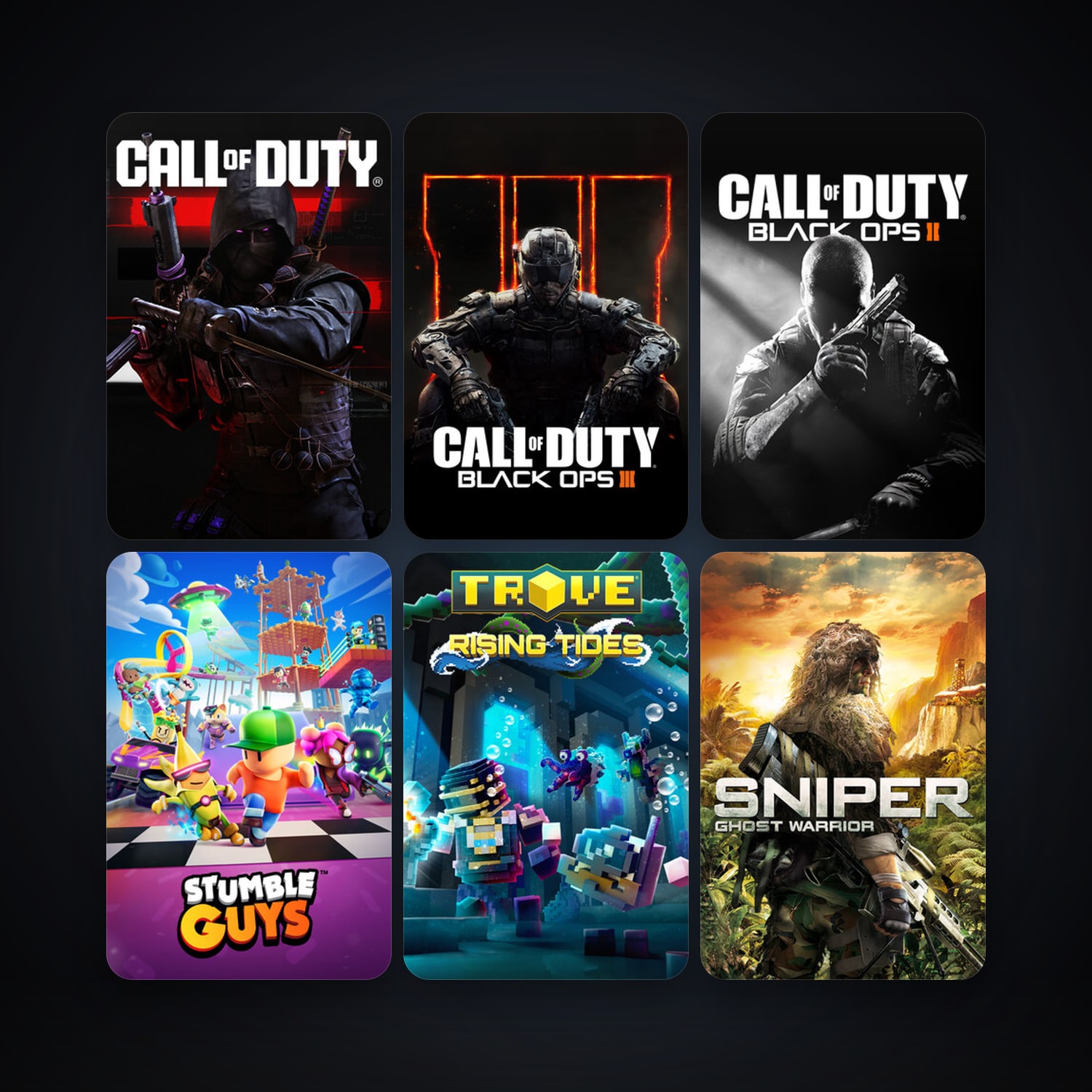 Sniper: Ghost Warrior + Call of Duty: Black Ops II, 30 games, Steam 10, clean — HabibiAccounts