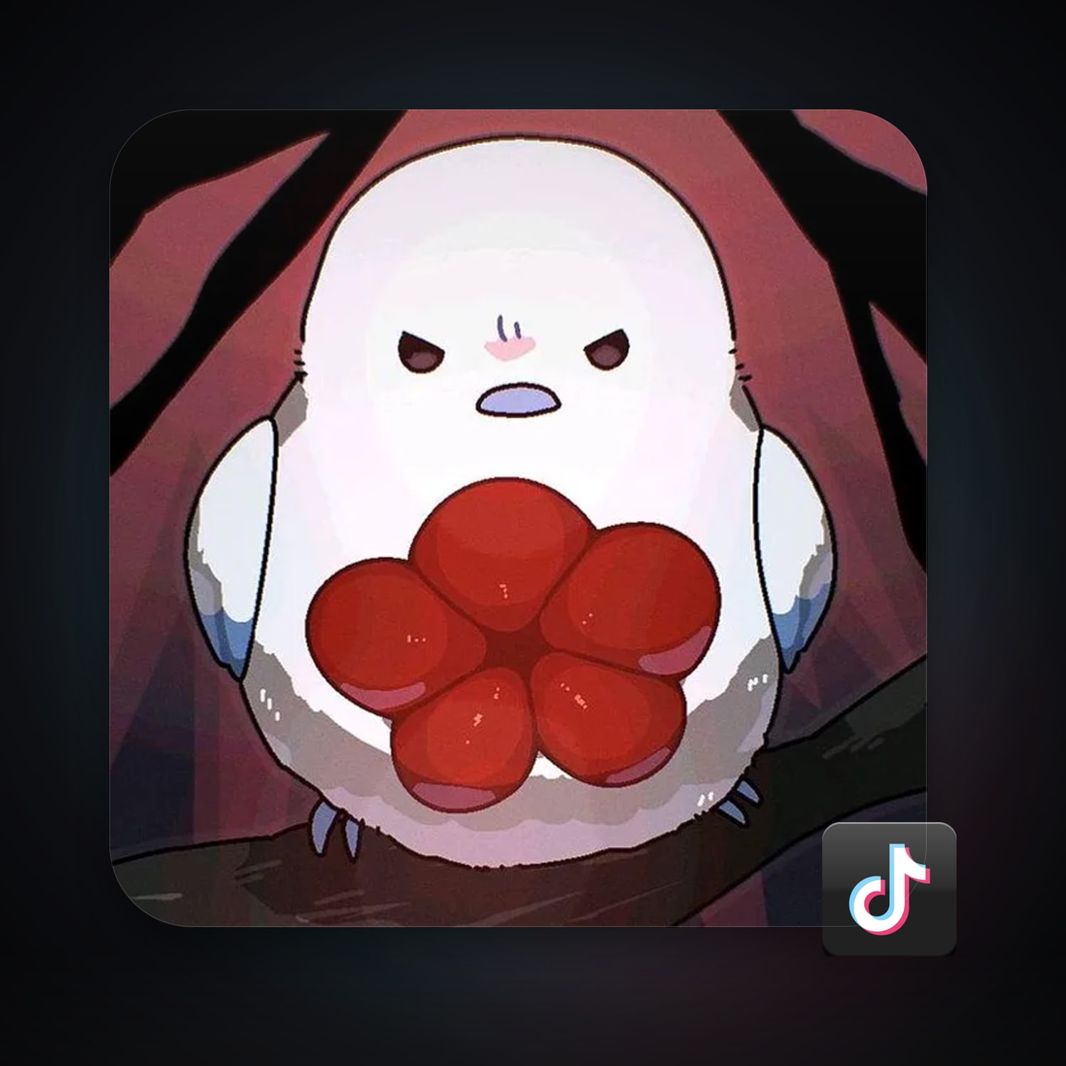 TikTok 22 followers — HabibiAccounts