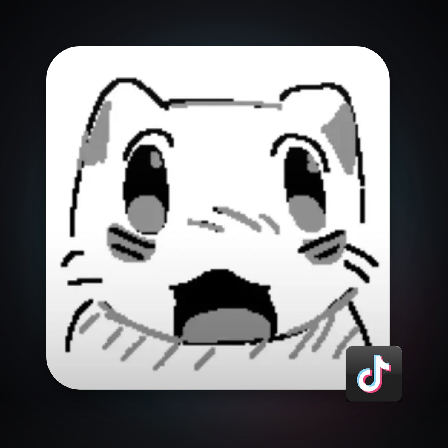 TikTok 16 followers — HabibiAccounts