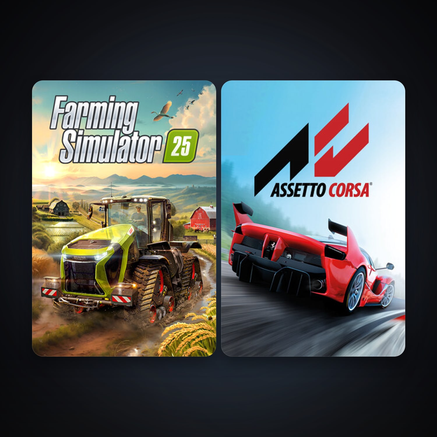 Assetto Corsa + Farming Simulator 25, 3 games, clean — HabibiAccounts