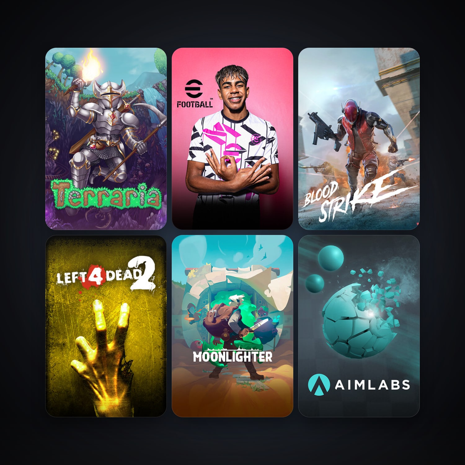 Left 4 Dead 2 + Terraria, 11 games, clean — HabibiAccounts