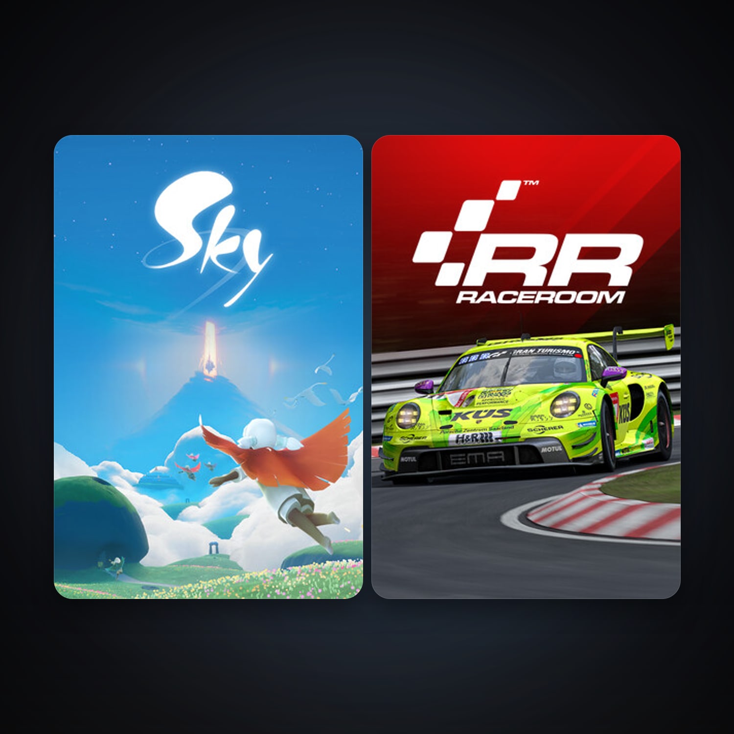 RaceRoom Racing Experience + Sky: Children of the Light, 4 games, clean — HabibiAccounts