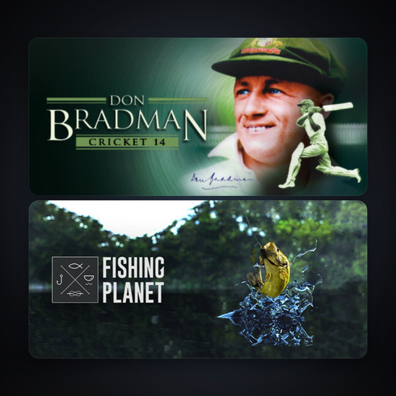 Don Bradman Cricket 14 + Fishing Planet, 6 games, clean — HabibiAccounts