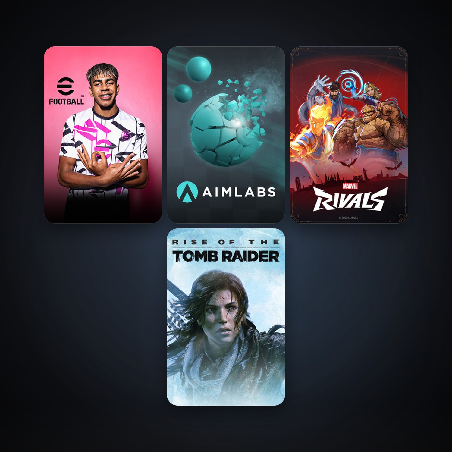 Rise of the Tomb Raider + Aimlabs, 16 games, clean — HabibiAccounts