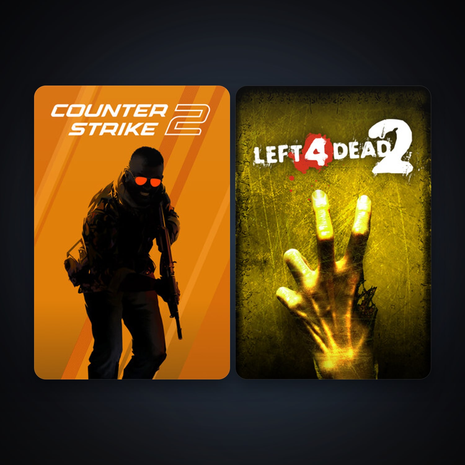 Left 4 Dead 2 + CS2 Prime, 2 games, clean — HabibiAccounts