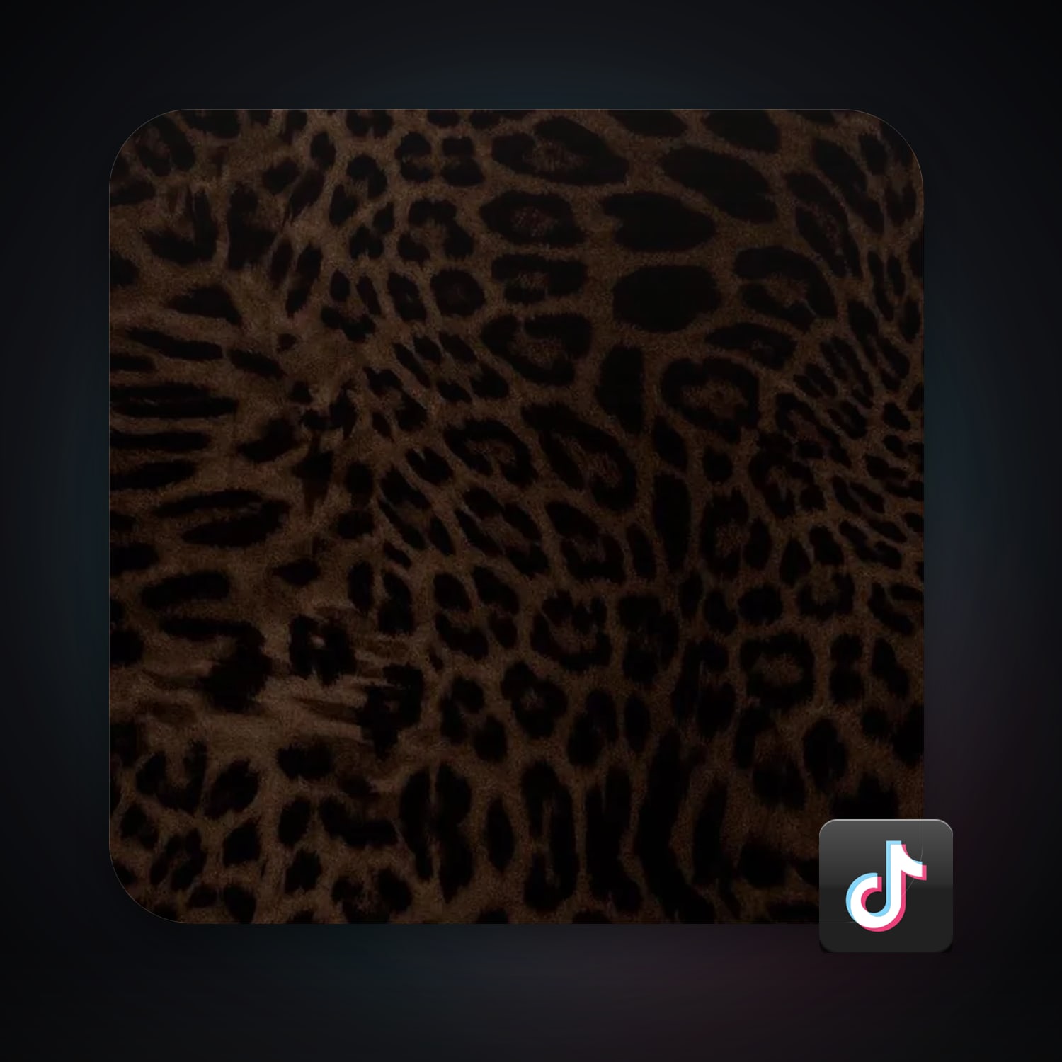 TikTok 65 followers — HabibiAccounts