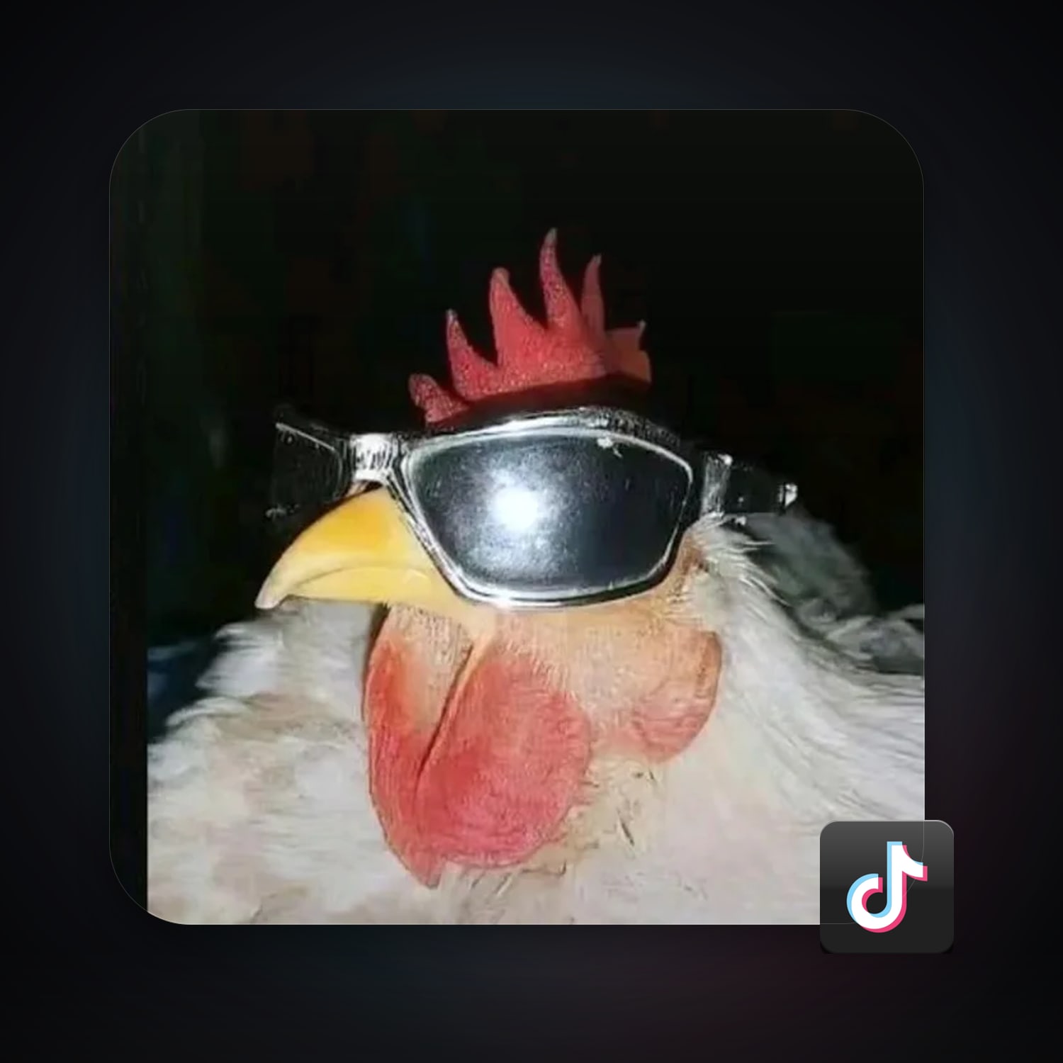 TikTok — HabibiAccounts