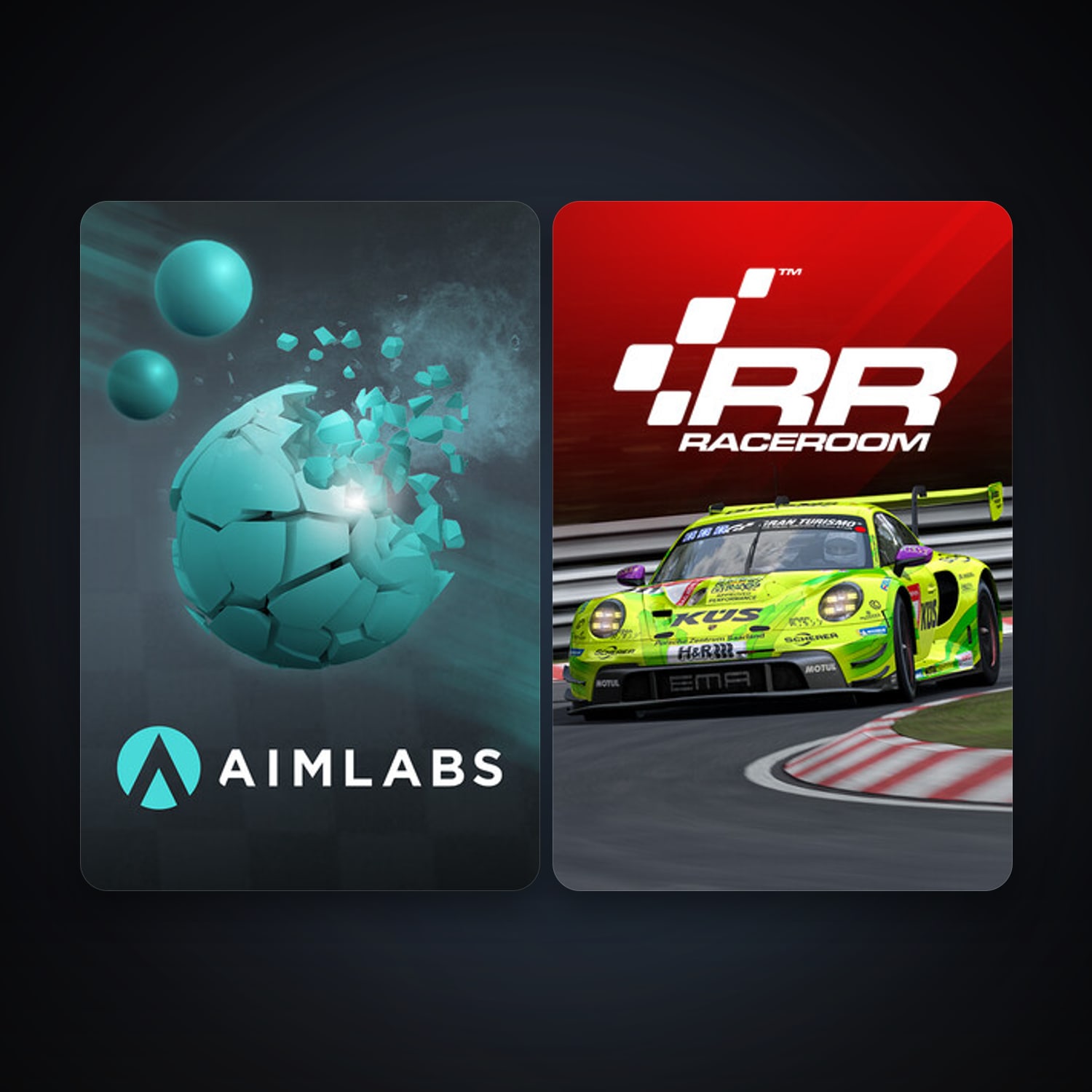 RaceRoom Racing Experience + Aimlabs, 3 games, clean — HabibiAccounts