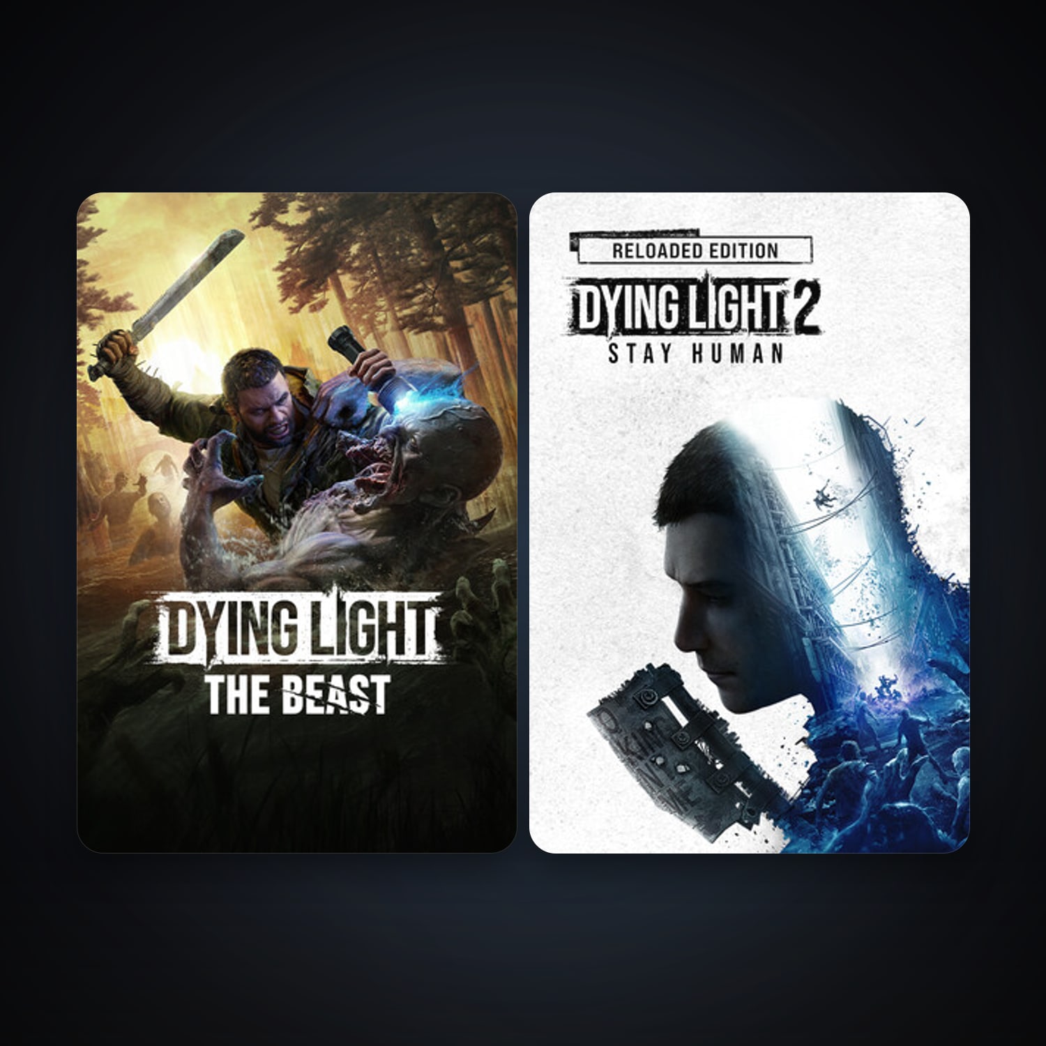 Dying Light 2 Stay Human + Dying Light: The Beast, 3 games, clean — HabibiAccounts