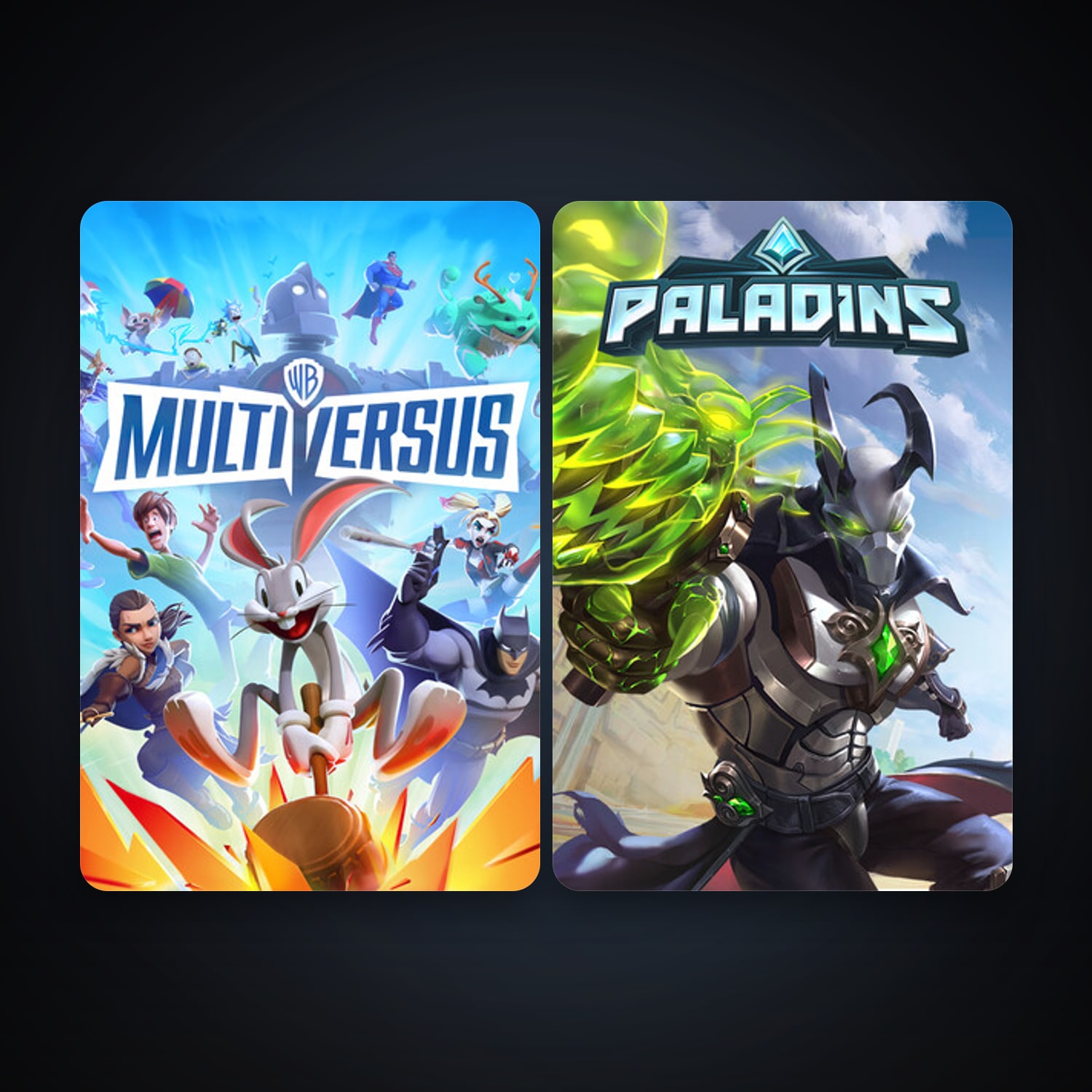 Paladins + MultiVersus, 5 games, clean — HabibiAccounts