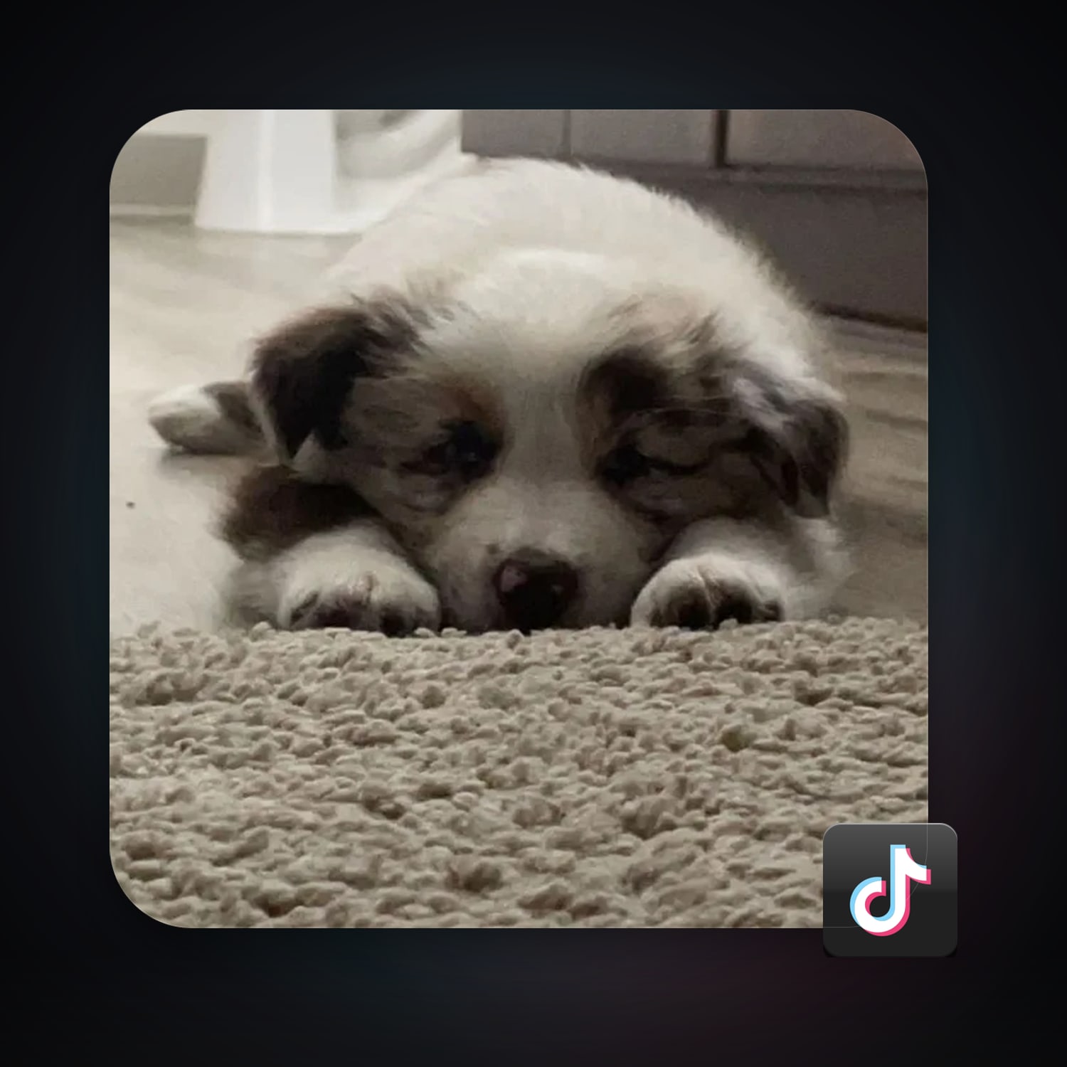 TikTok 75 followers — HabibiAccounts