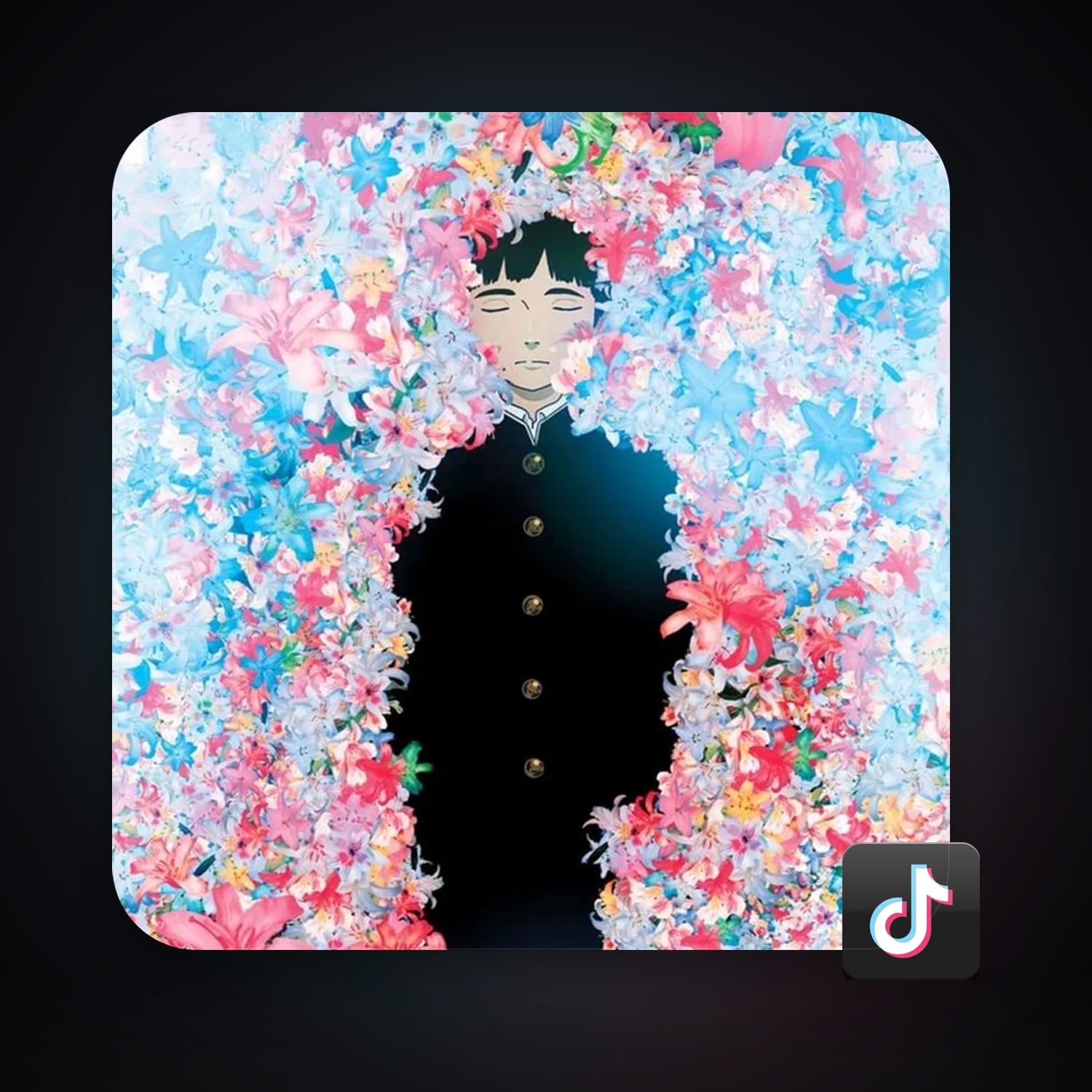 TikTok — HabibiAccounts