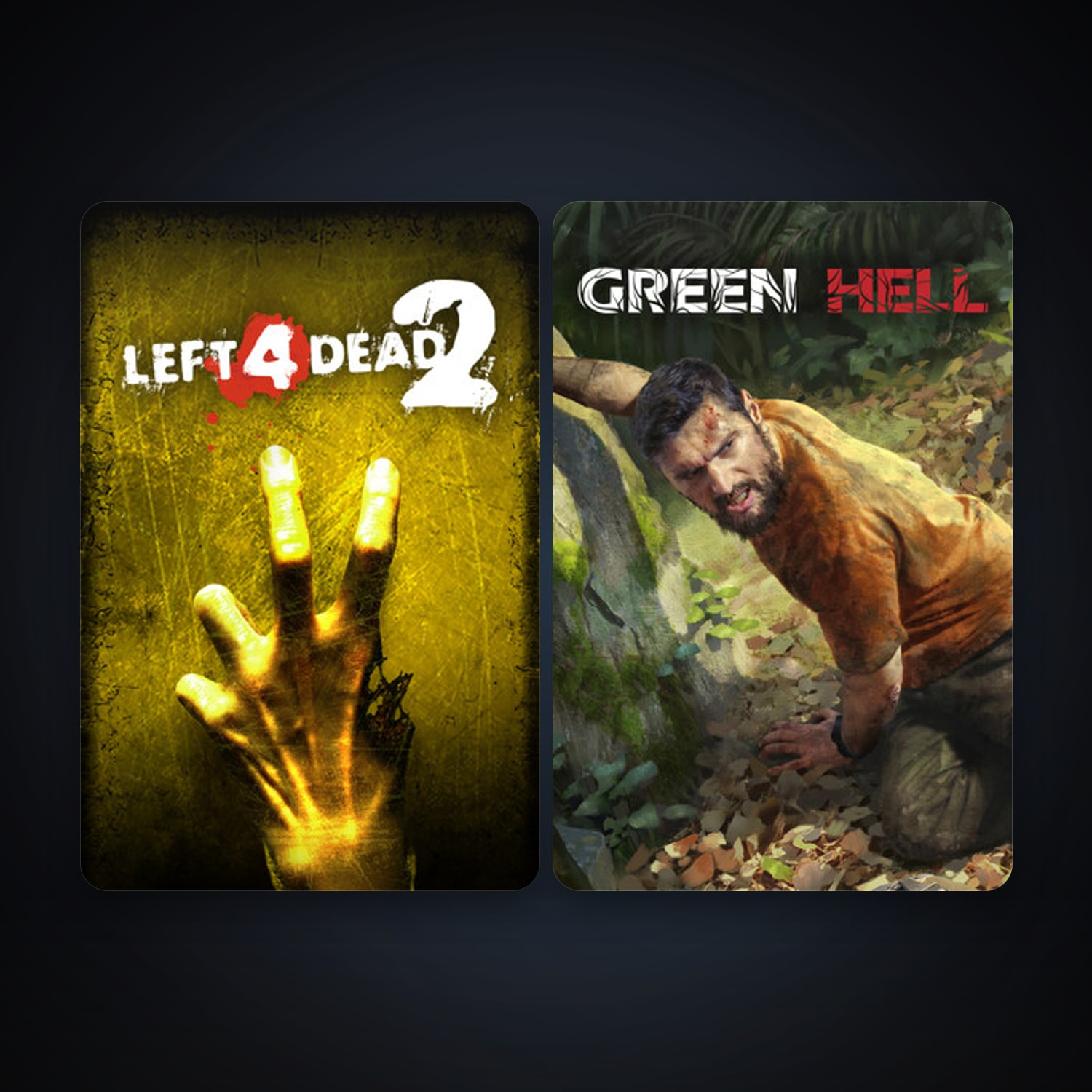 Left 4 Dead 2 + Green Hell, 4 games, clean — HabibiAccounts