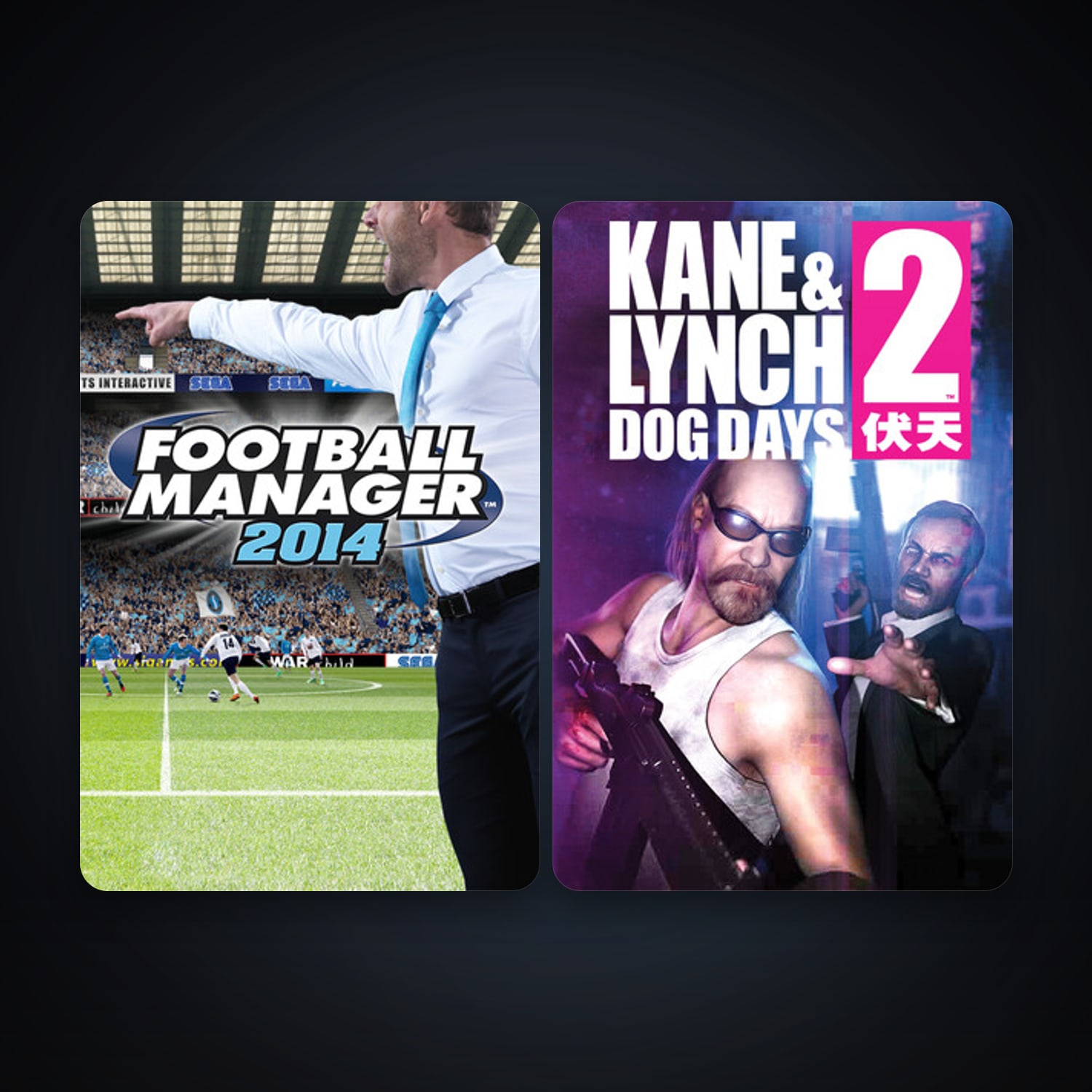 Kane & Lynch 2: Dog Days + Football Manager 2014, 2 games, clean — HabibiAccounts