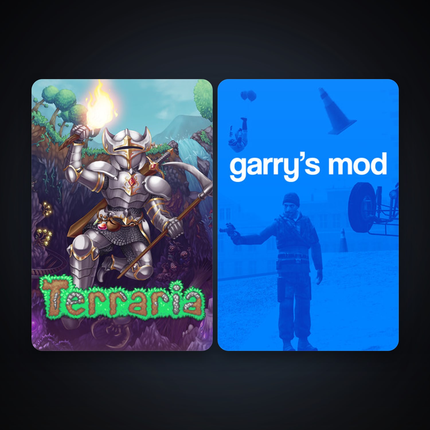 Garry's Mod + Terraria, 3 games, clean — HabibiAccounts