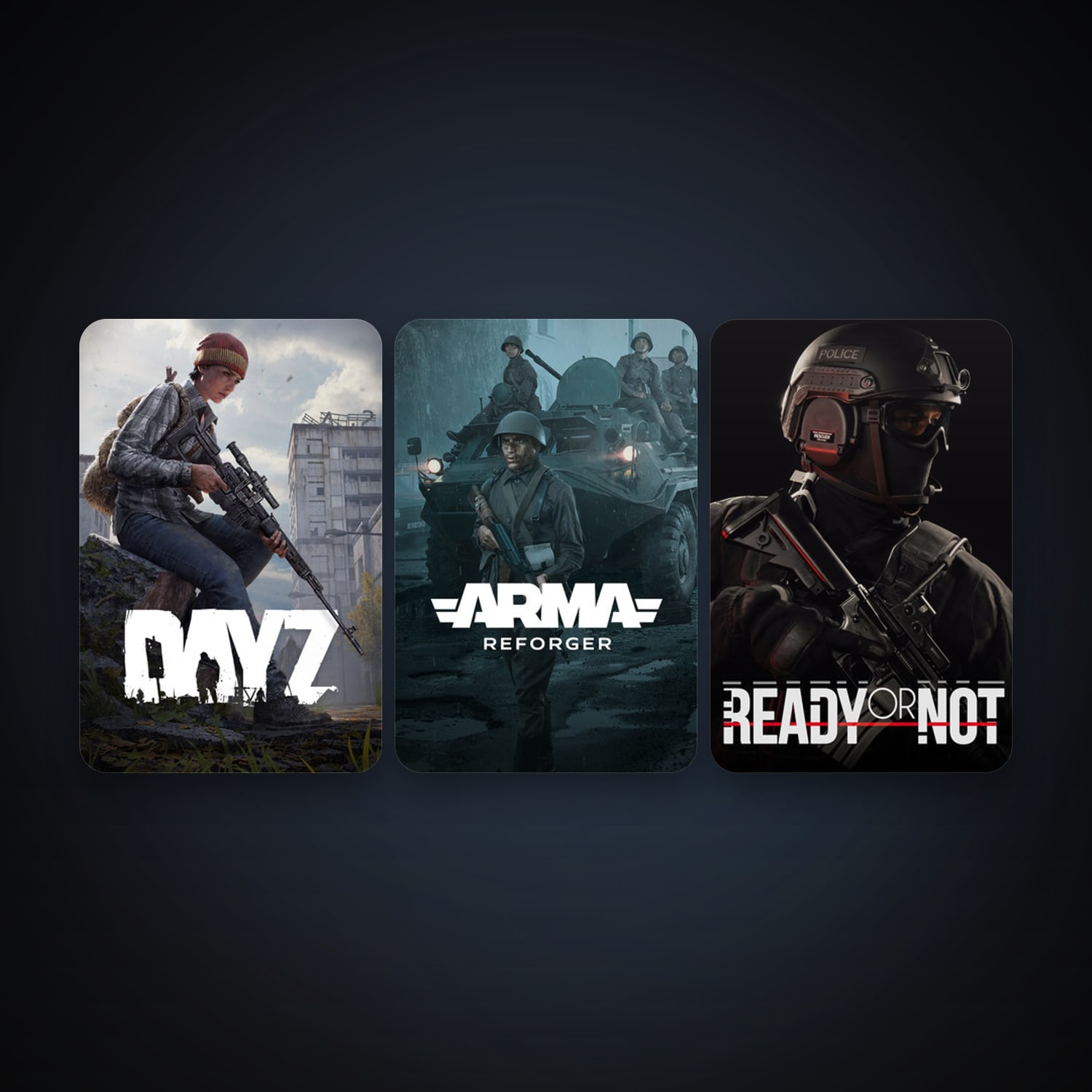 DayZ + Ready or Not, 4 games, clean — HabibiAccounts