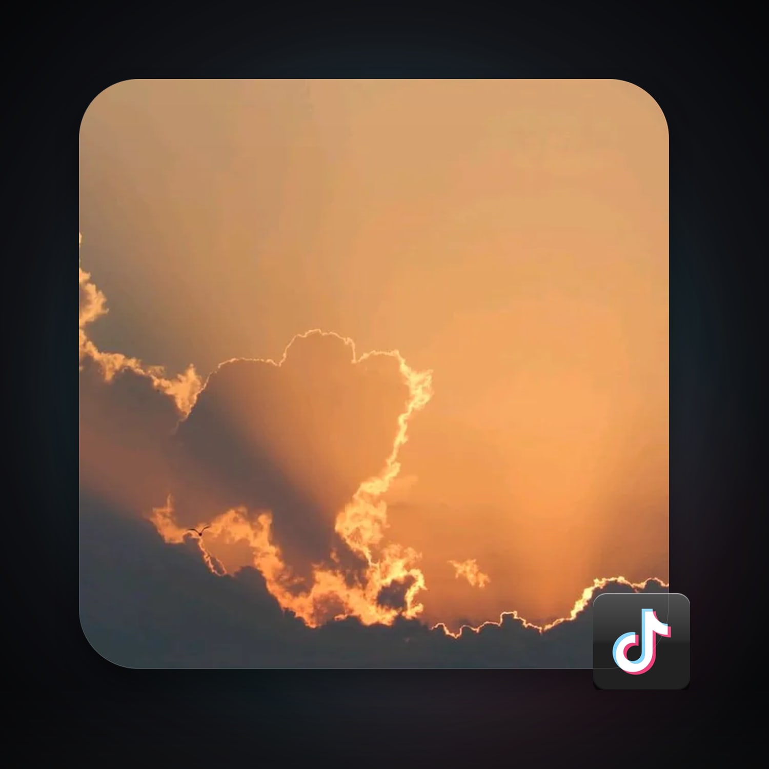 TikTok 50 followers — HabibiAccounts