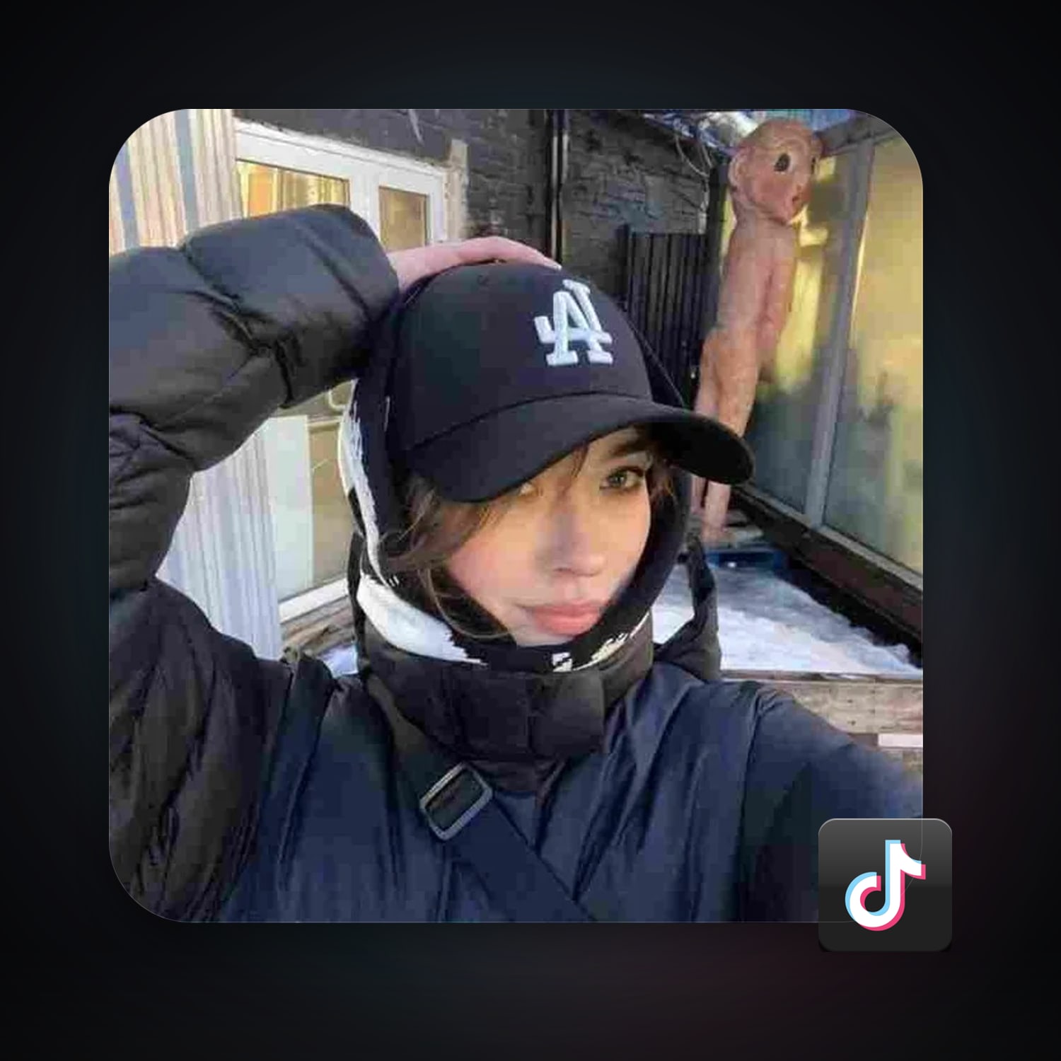 TikTok — HabibiAccounts