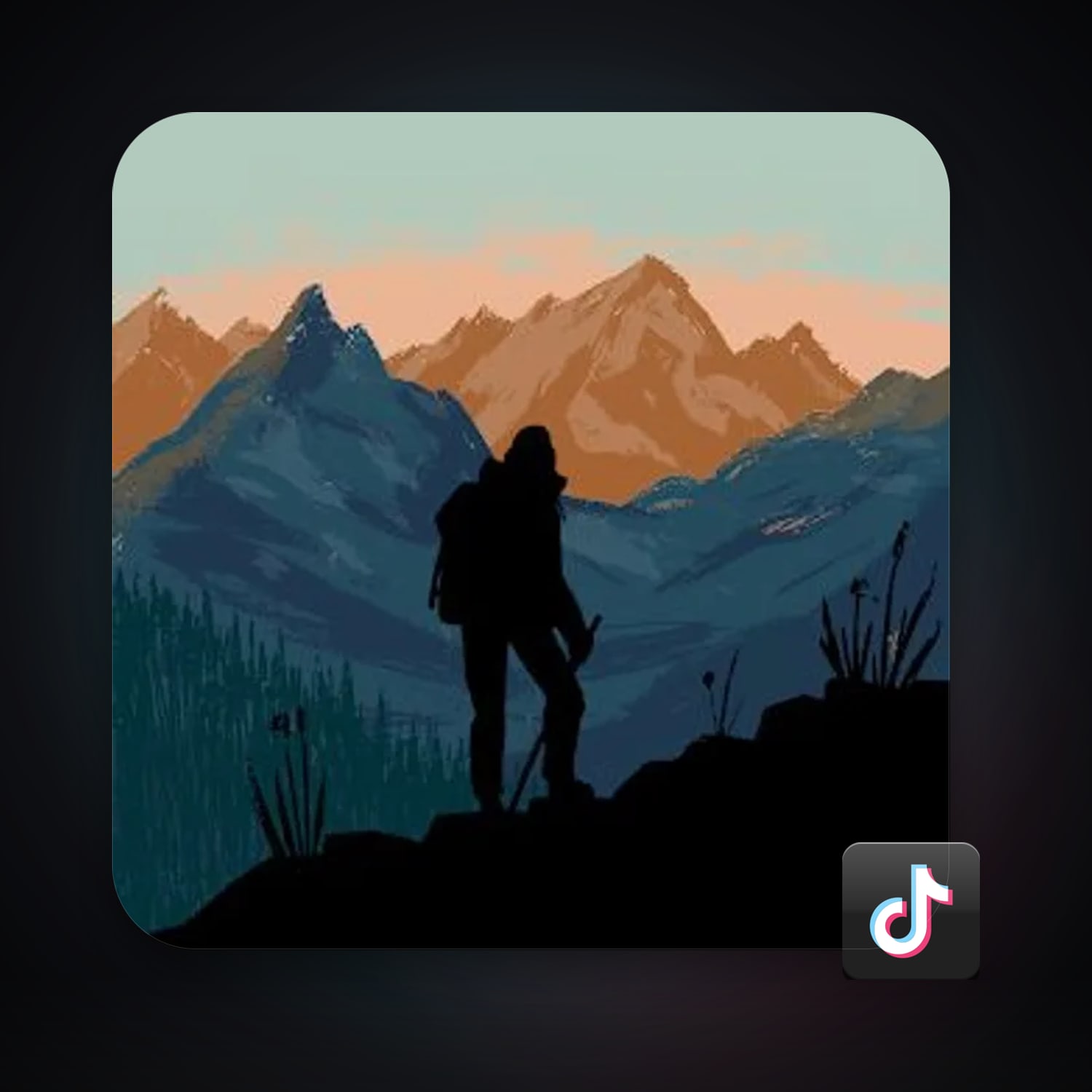 TikTok — HabibiAccounts