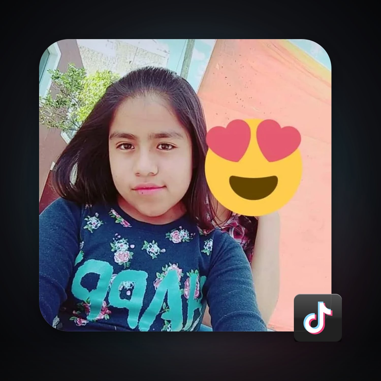 TikTok — HabibiAccounts