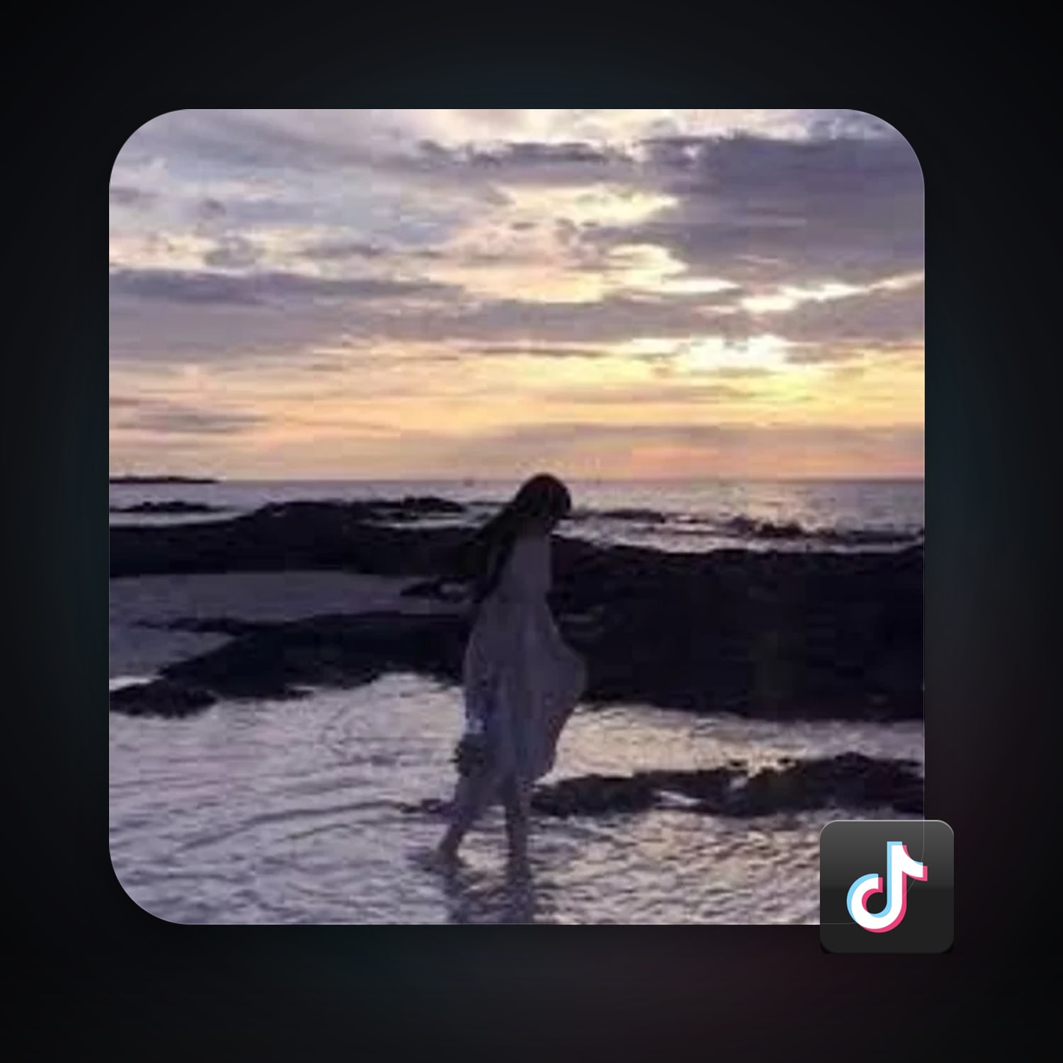 TikTok 1.6K followers · 261387090 — HabibiAccounts