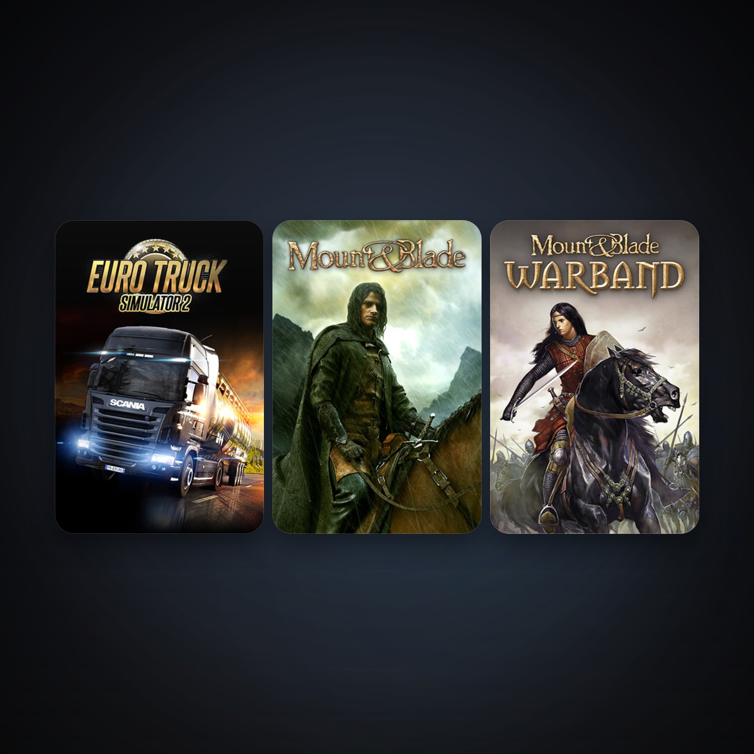 Mount & Blade + Mount & Blade: Warband, 3 games, clean — HabibiAccounts