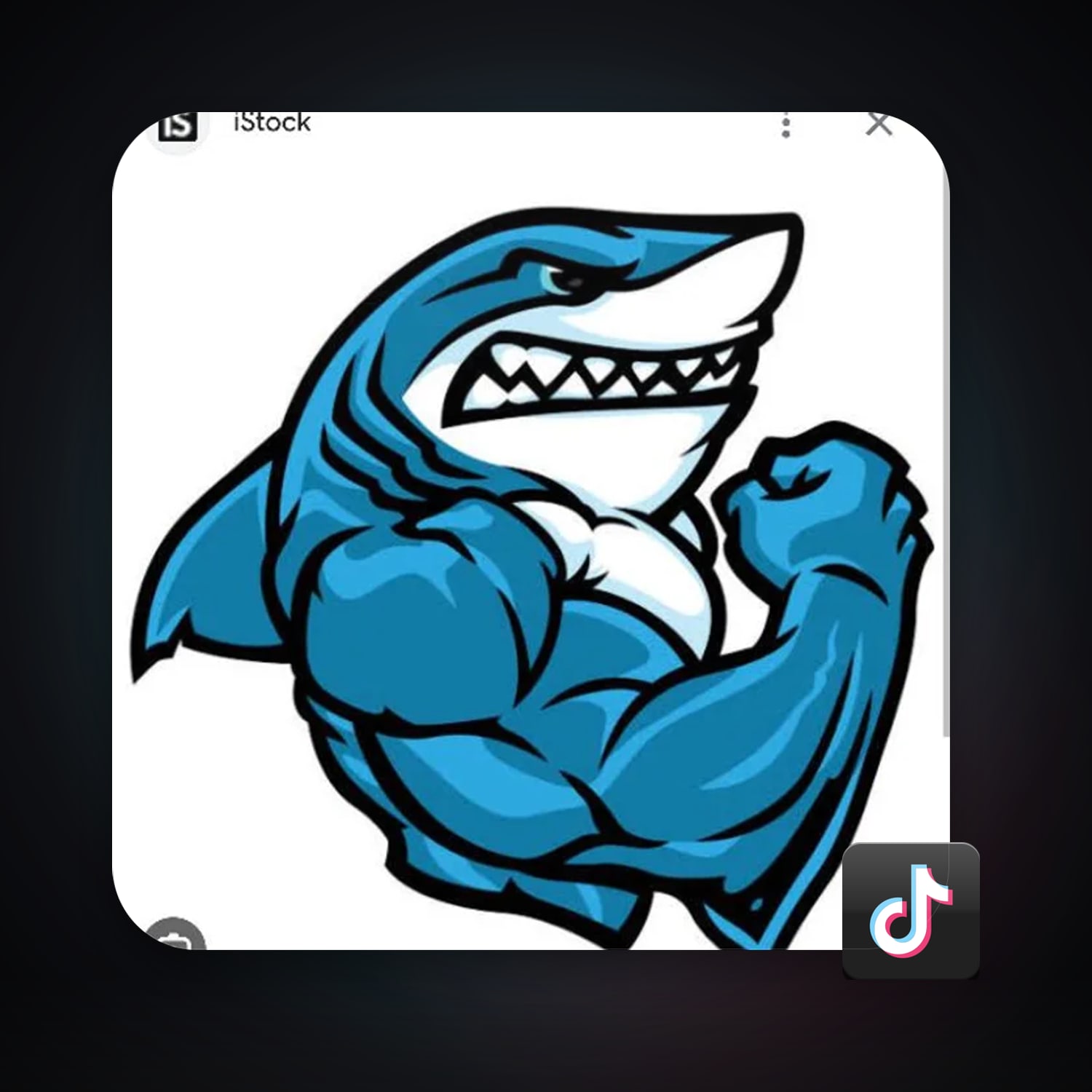 TikTok 7 followers — HabibiAccounts