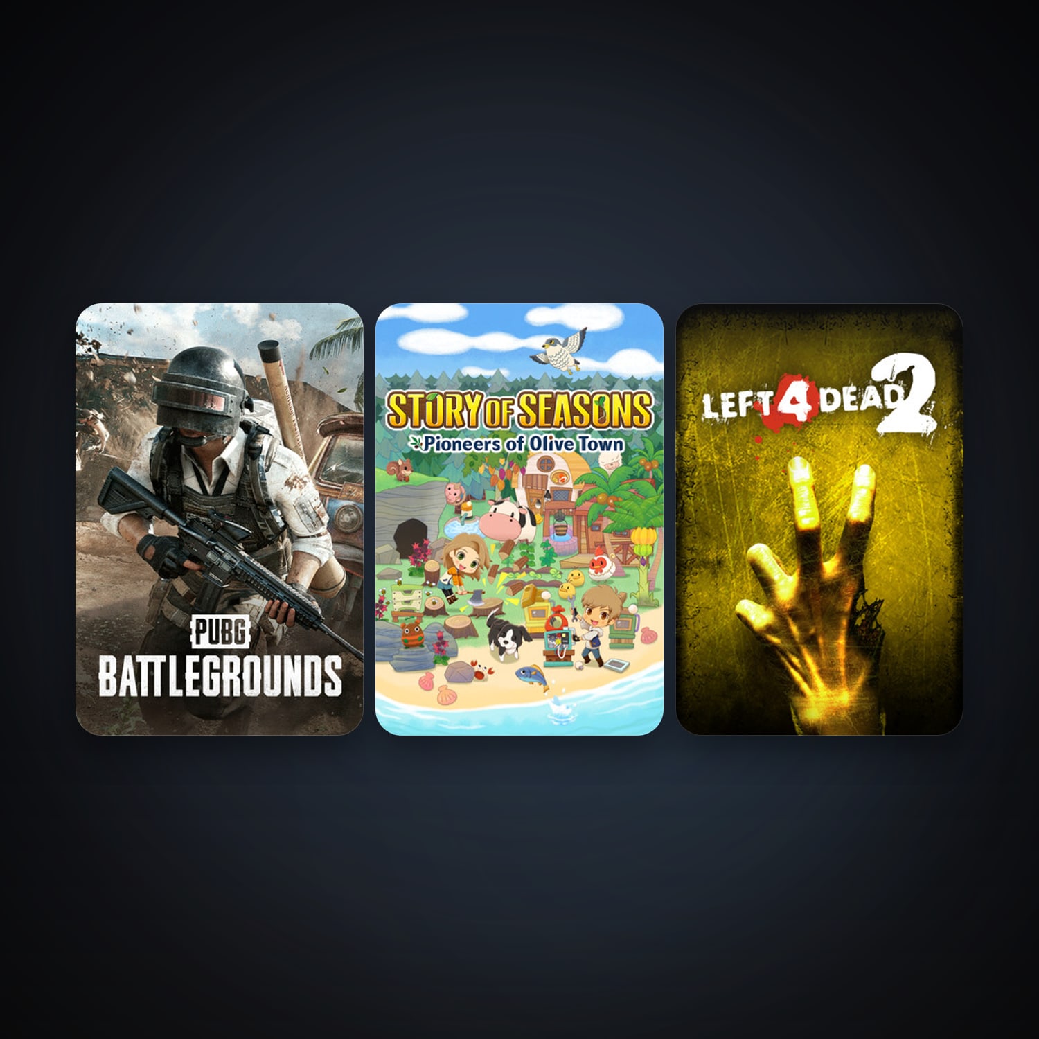 Left 4 Dead 2 + PUBG: Battlegrounds, 3 games, clean — HabibiAccounts