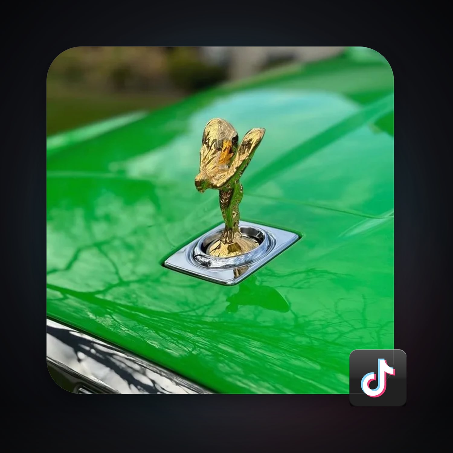 TikTok 14 followers — HabibiAccounts
