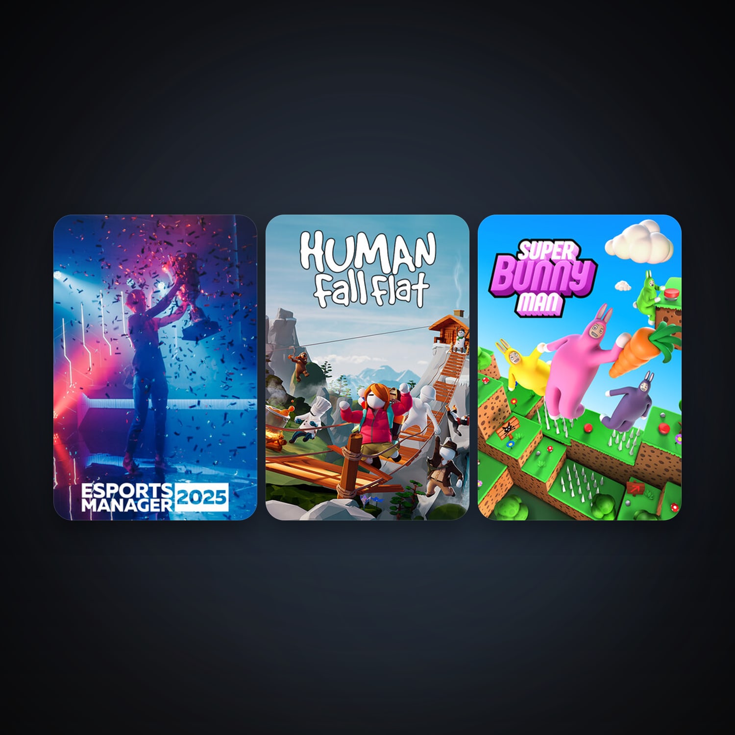 Human: Fall Flat + Super Bunny Man, 8 games, clean — HabibiAccounts