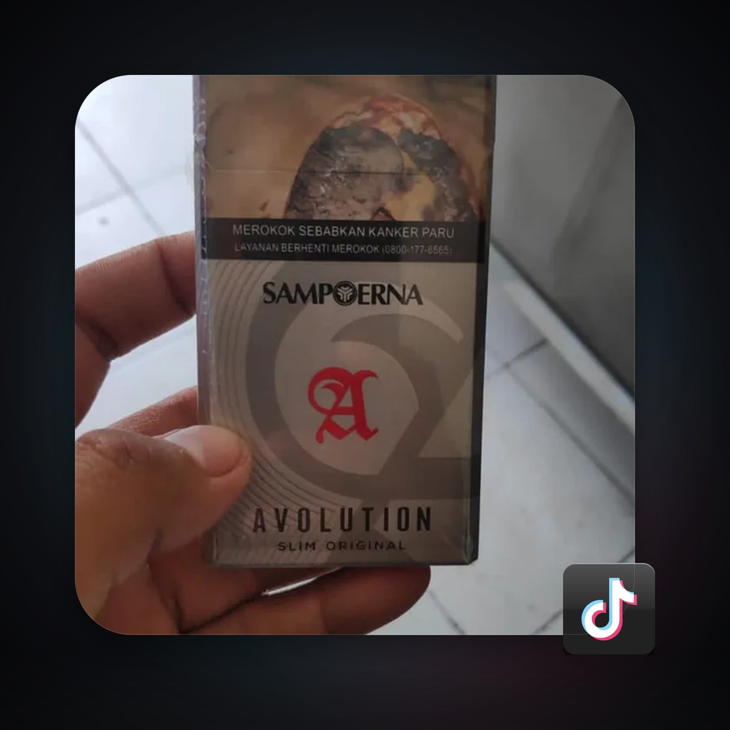 TikTok 3 followers — HabibiAccounts