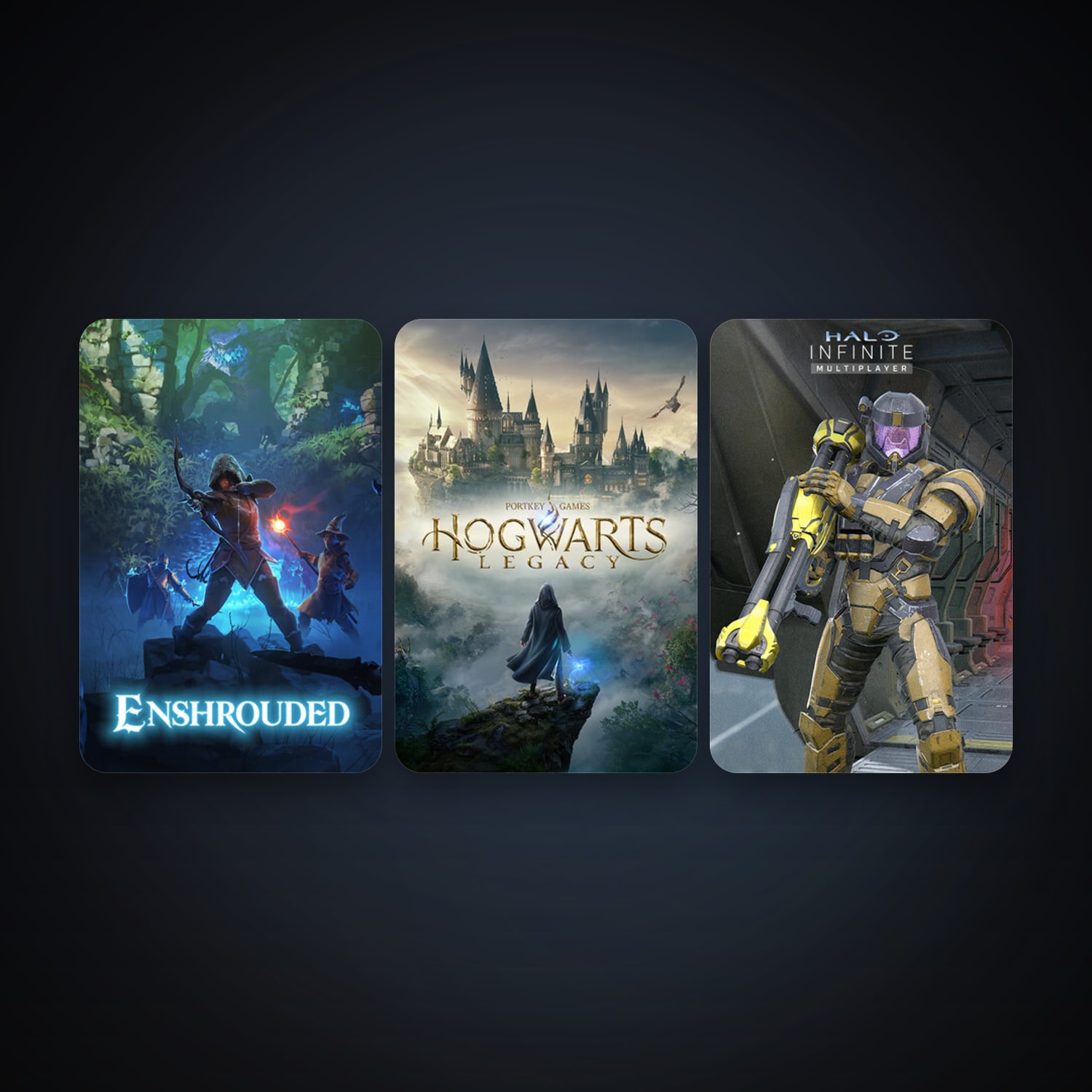 Hogwarts Legacy + Enshrouded, 4 games, clean — HabibiAccounts