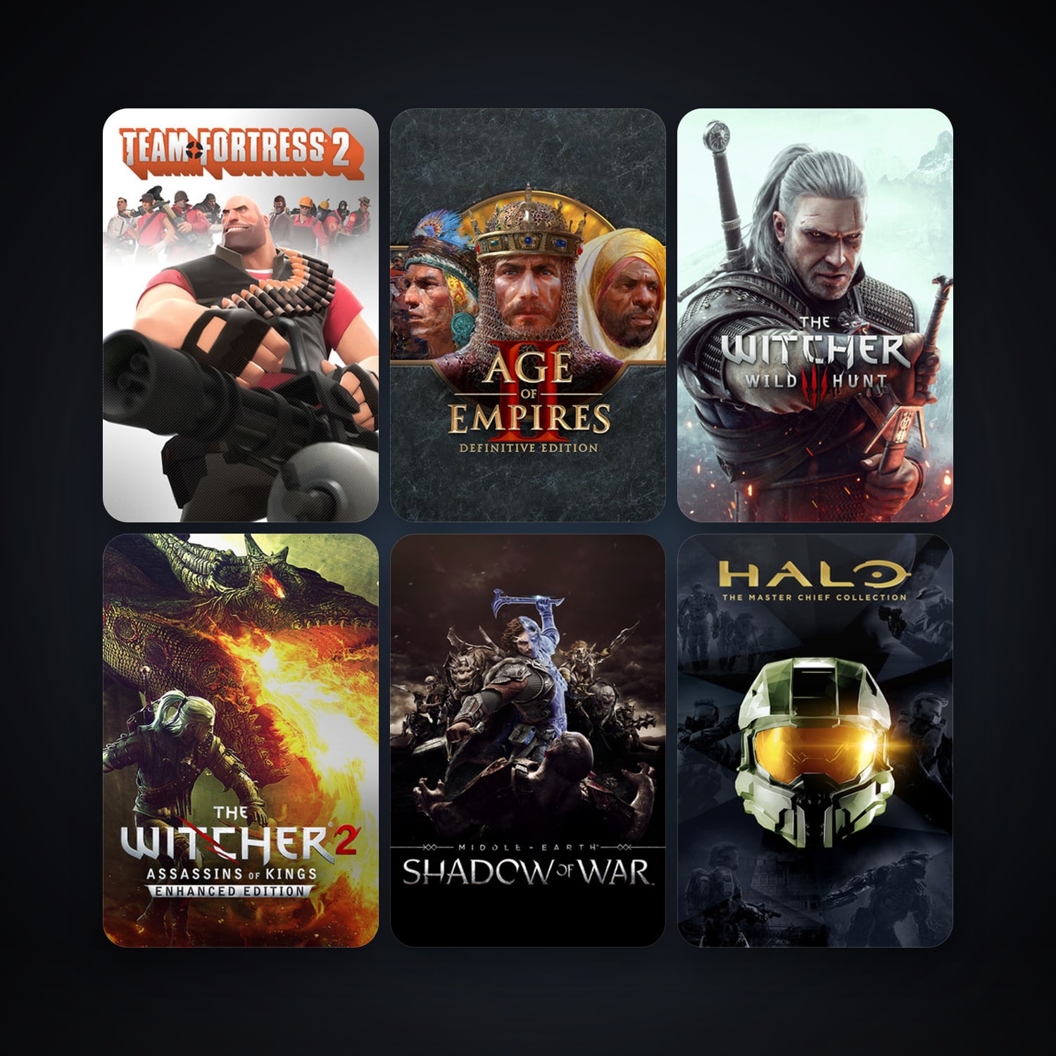 Team Fortress 2 + The Witcher 2: Assassins of Kings Enhanced Edition, 75 games, clean — HabibiAccounts