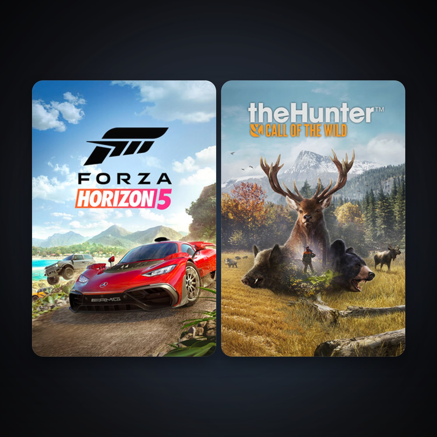 theHunter: Call of the Wild + Forza Horizon 5, 6 games, clean — HabibiAccounts