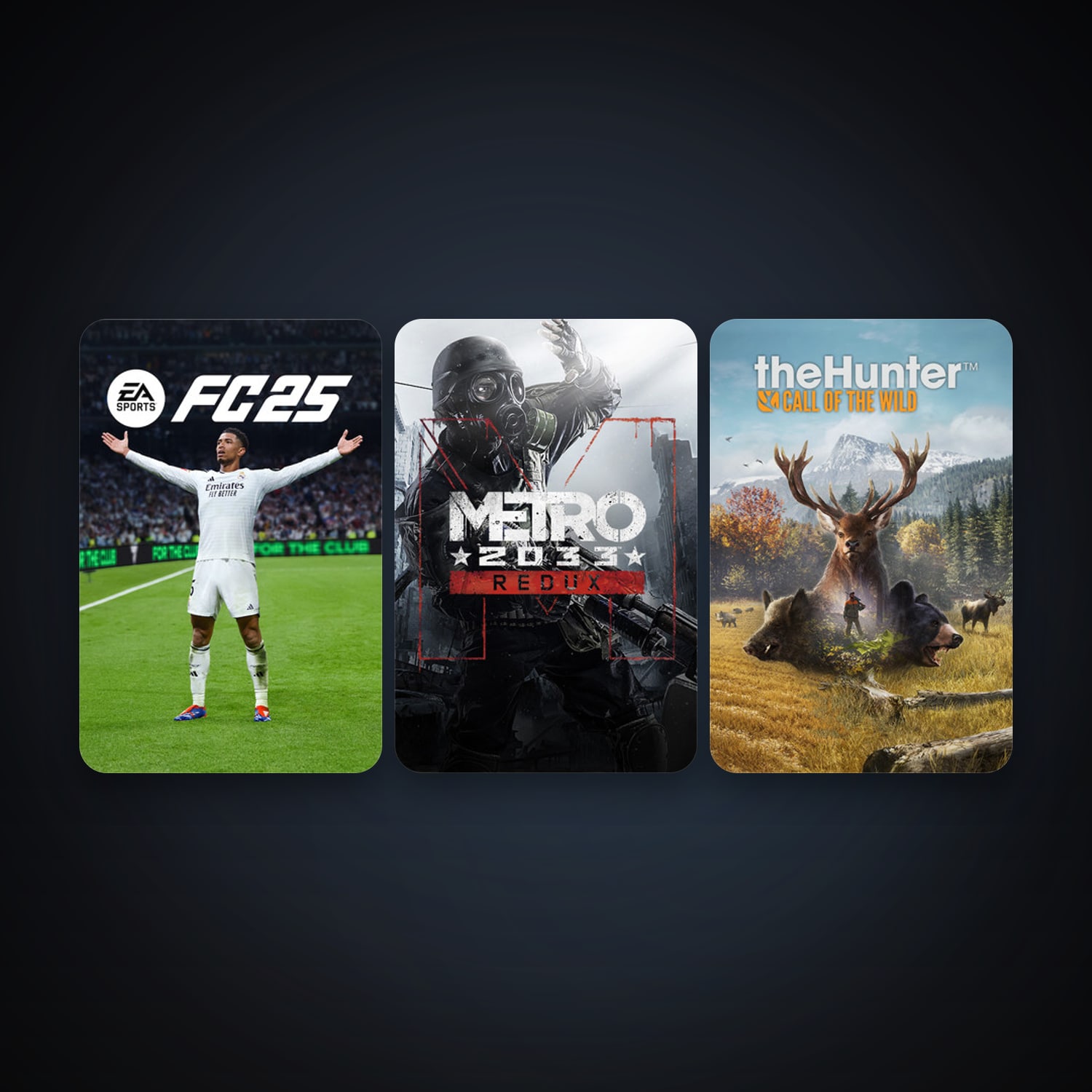 Metro 2033 Redux + theHunter: Call of the Wild, 3 games, clean — HabibiAccounts