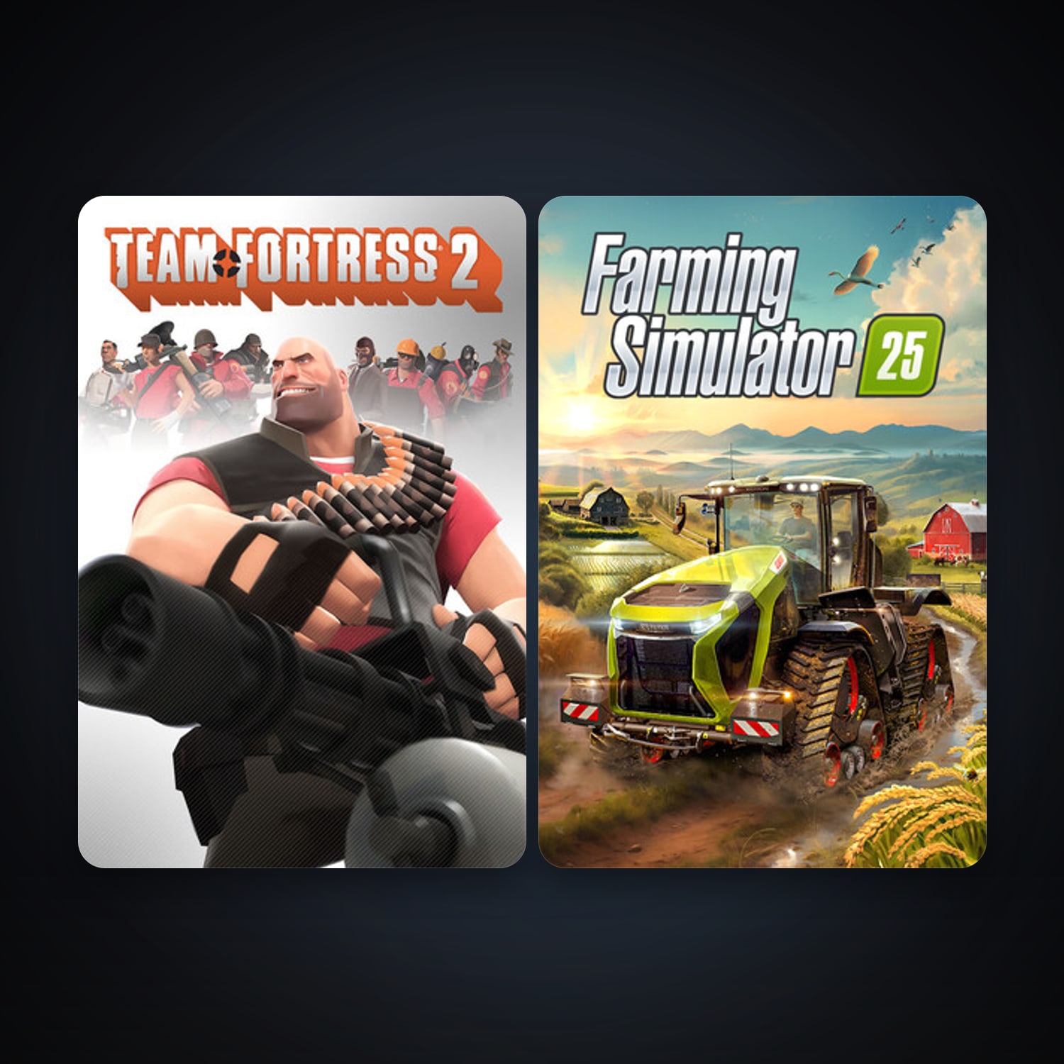 Team Fortress 2 + Farming Simulator 25, 3 games, clean — HabibiAccounts