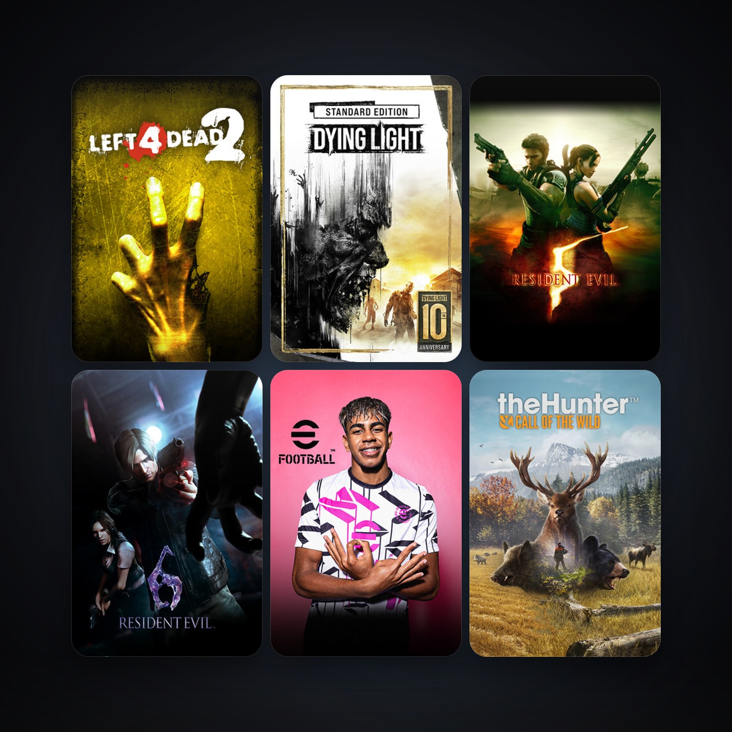 Left 4 Dead 2 + Resident Evil 5, 11 games, clean — HabibiAccounts