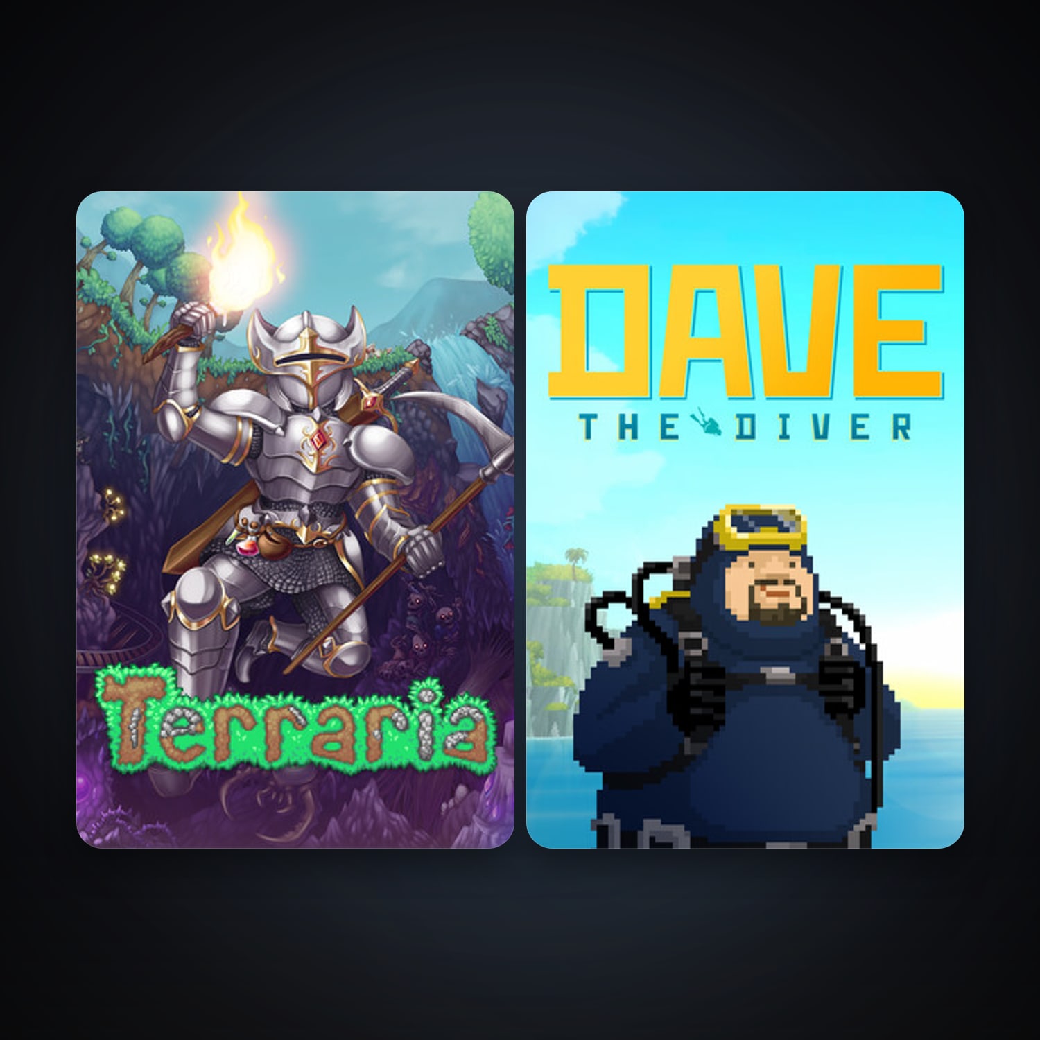 Terraria + DAVE THE DIVER, 2 games, clean — HabibiAccounts