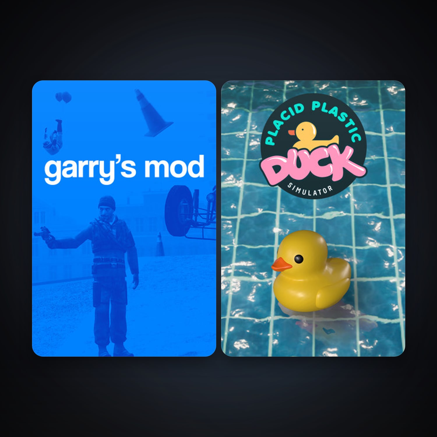Garry's Mod + Placid Plastic Duck Simulator, 2 games, clean — HabibiAccounts