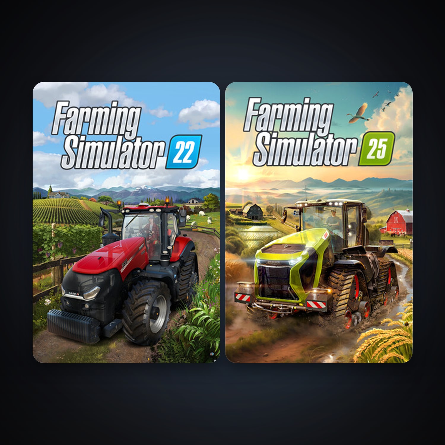 Farming Simulator 22 + Farming Simulator 25, 3 games, clean — HabibiAccounts
