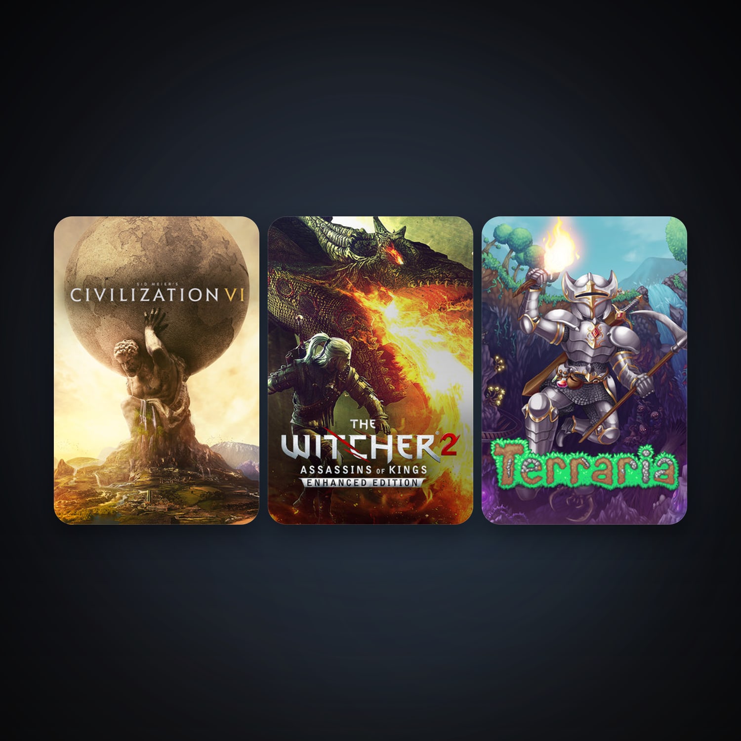 The Witcher 2: Assassins of Kings Enhanced Edition + Terraria, 3 games, clean — HabibiAccounts
