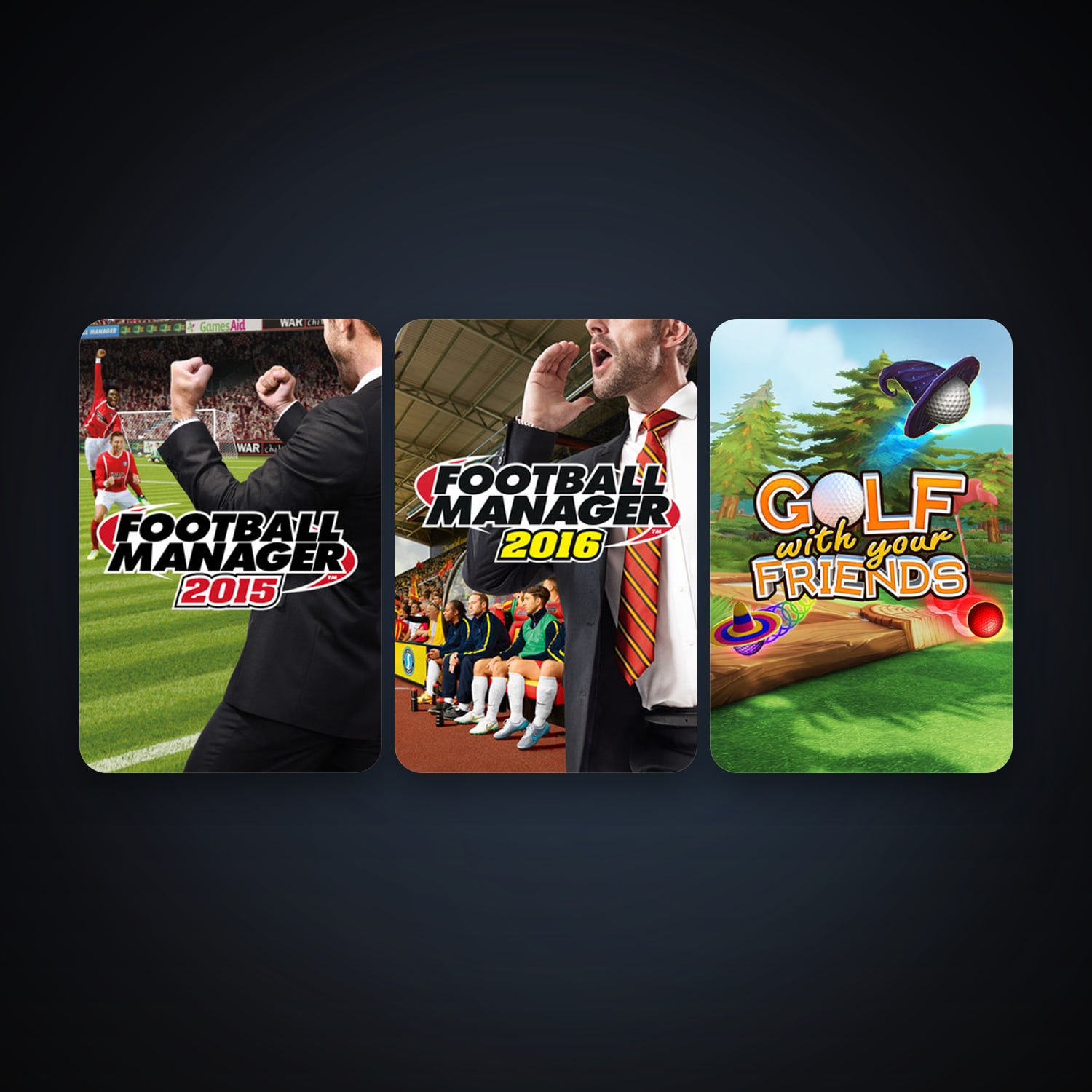 Football Manager 2015 + Football Manager 2016, 3 games, clean — HabibiAccounts