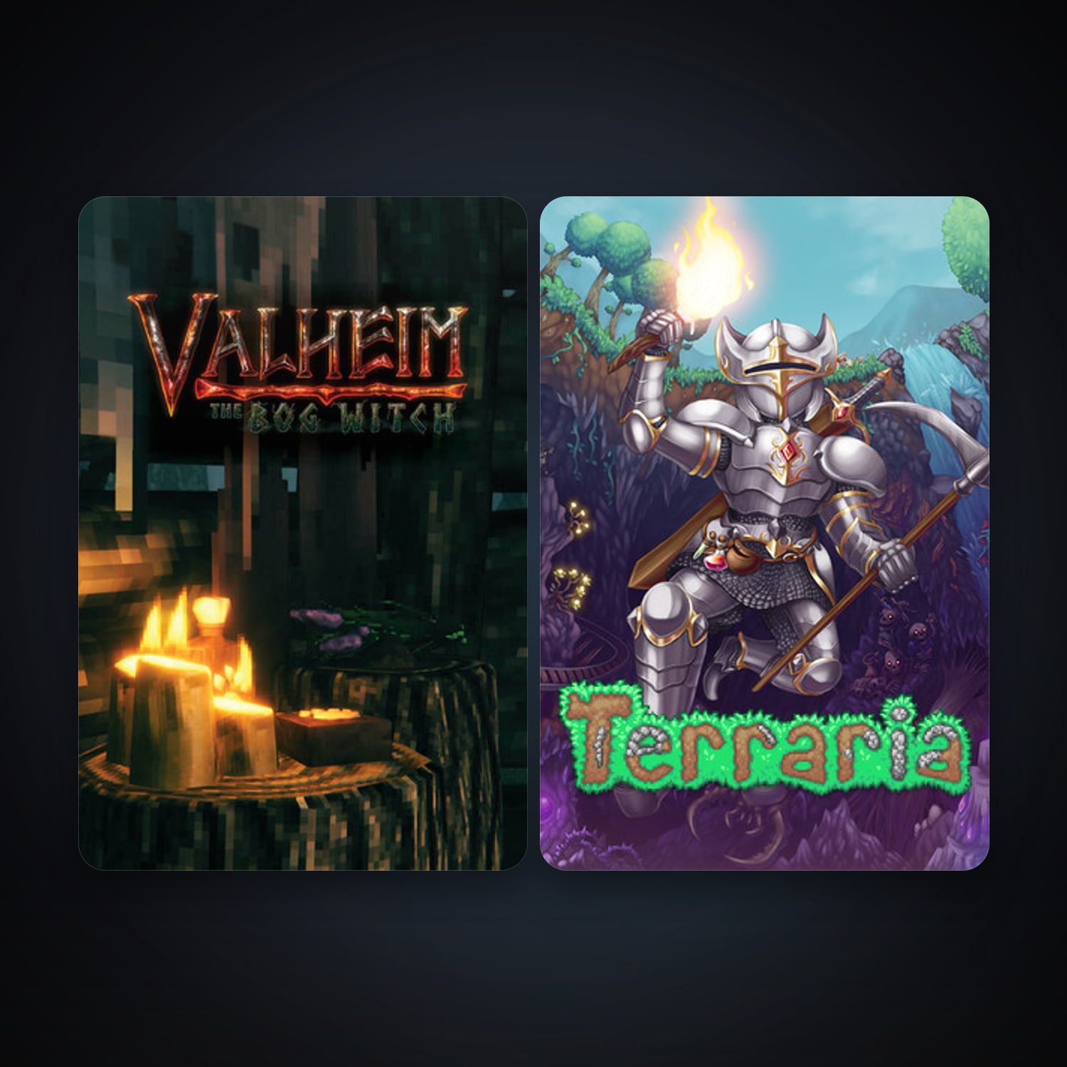 Terraria + Valheim, 2 games, clean — HabibiAccounts