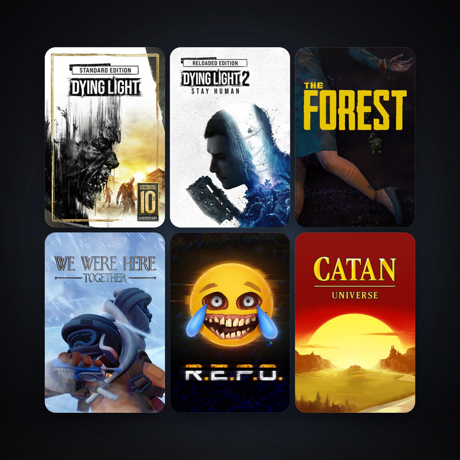 Project Zomboid + Dying Light, 13 games, clean — HabibiAccounts