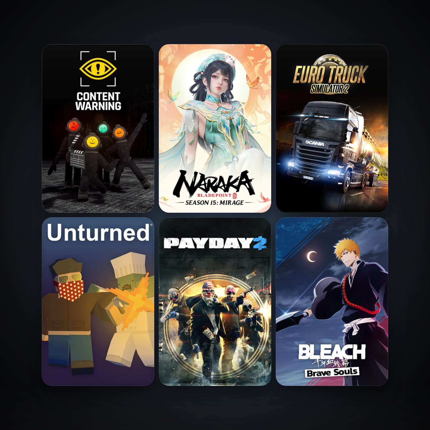 PAYDAY 2 + Euro Truck Simulator 2, 15 games, clean — HabibiAccounts