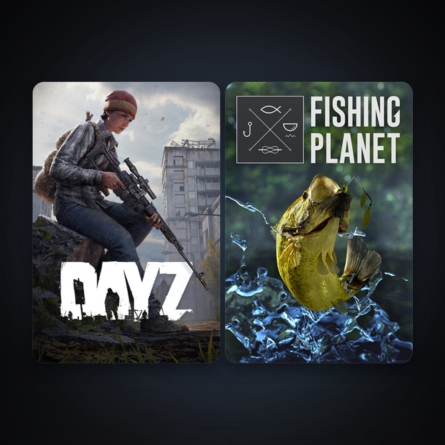 DayZ + Fishing Planet, 4 games, clean — HabibiAccounts