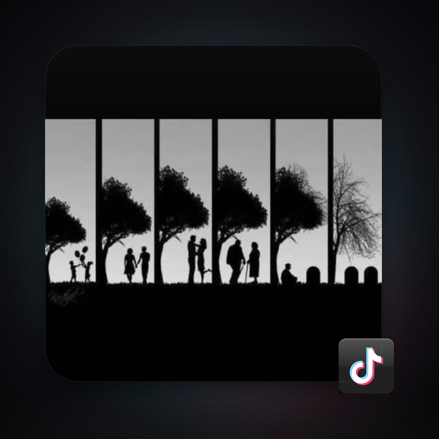 TikTok 12 followers — HabibiAccounts