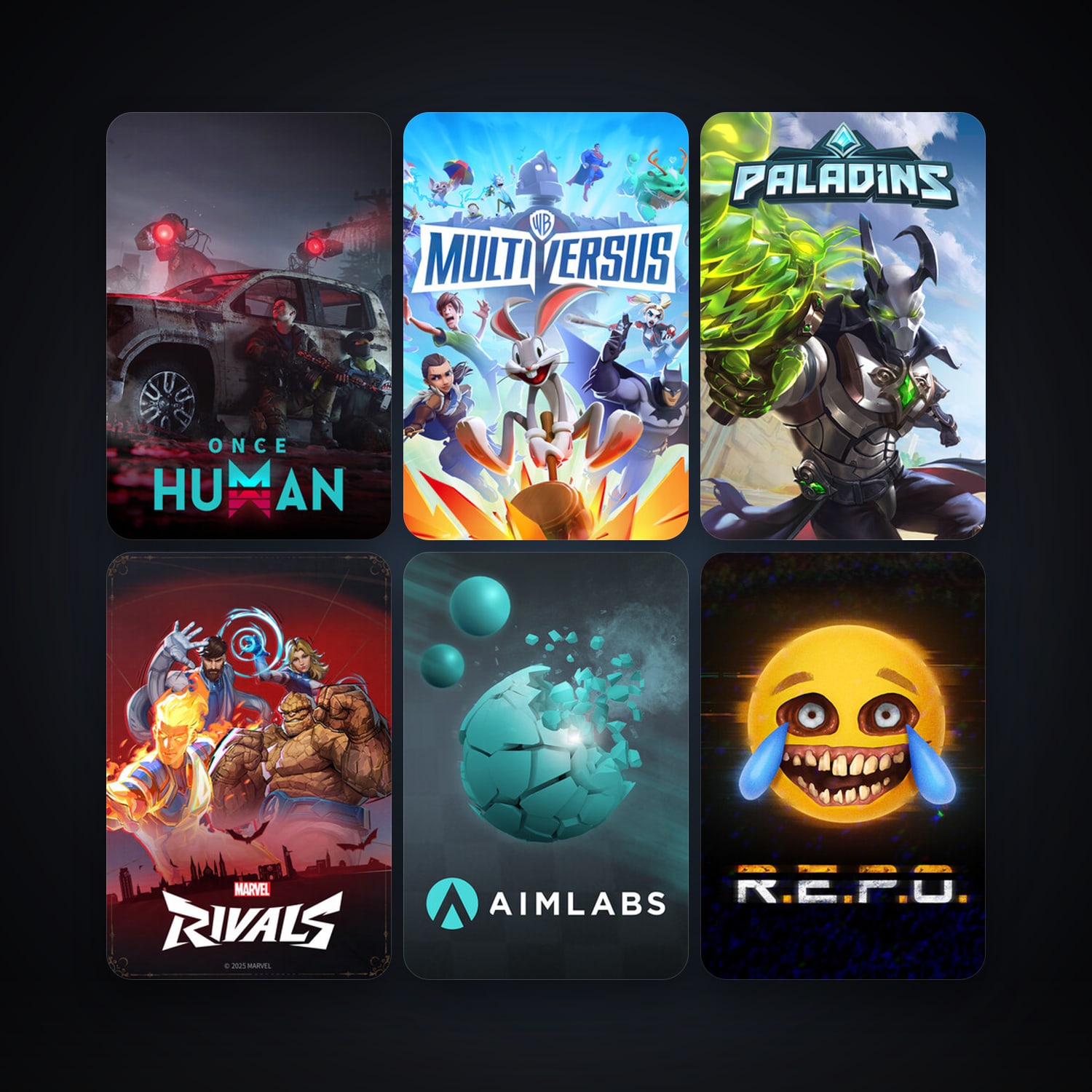 Paladins + Aimlabs, 20 games, clean — HabibiAccounts