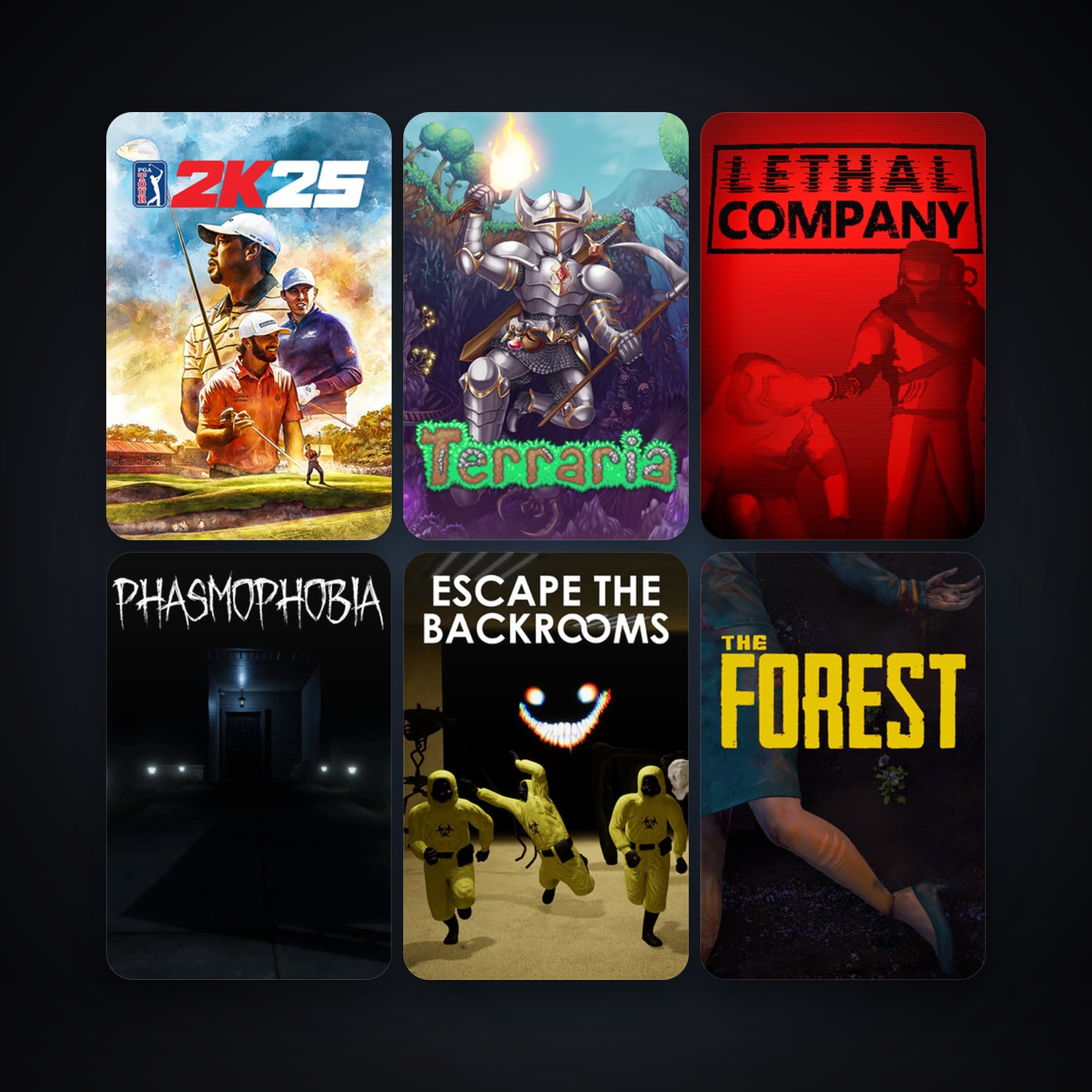 Terraria + The Forest, 18 games, clean — HabibiAccounts